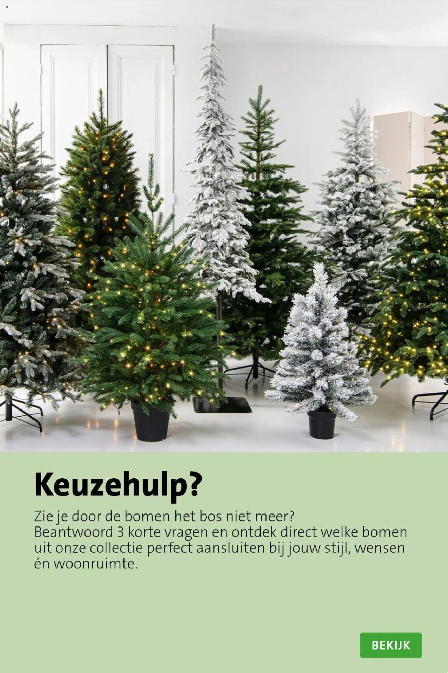 Intratuin folder Kerst bomen