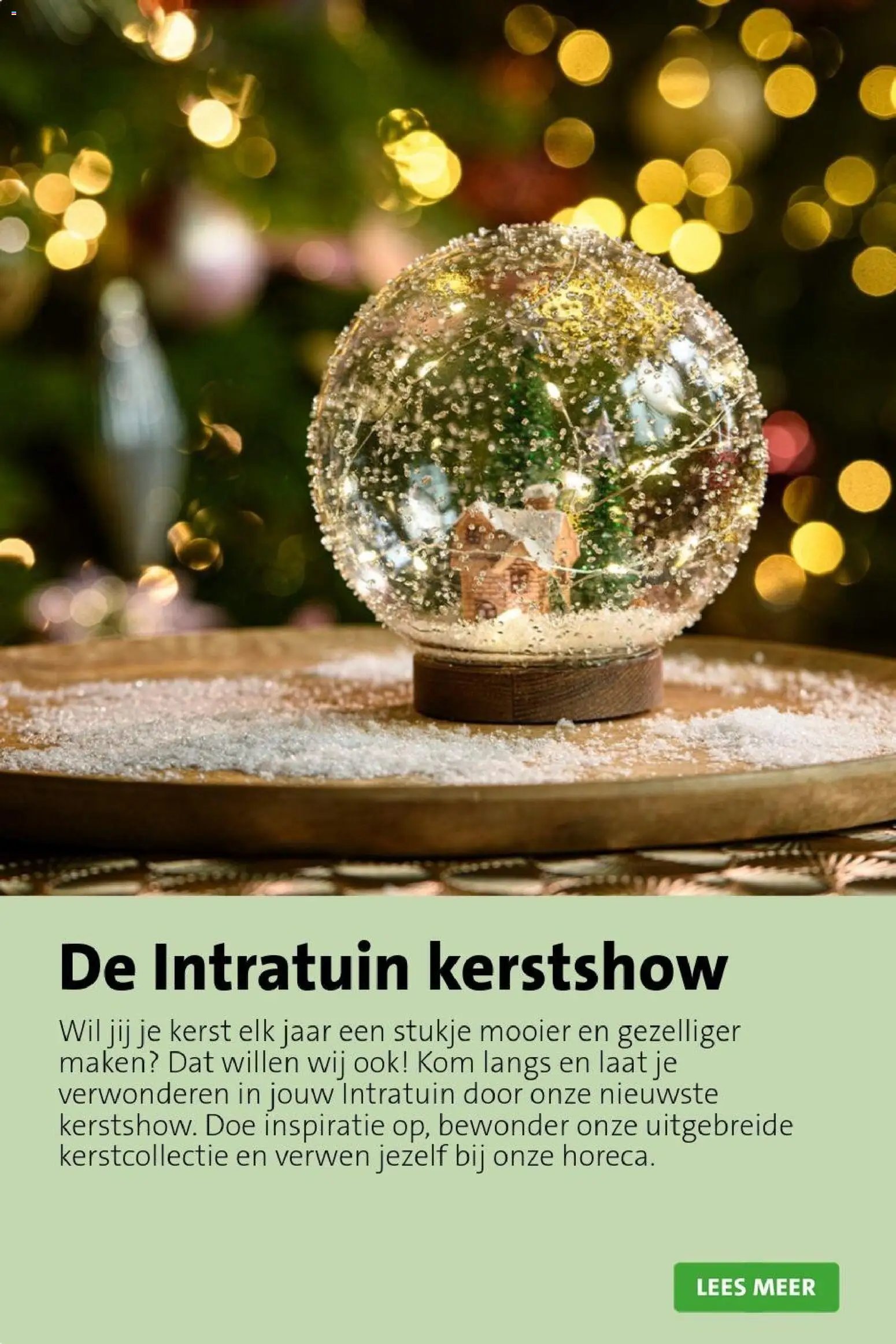 Intratuin folder Kerst bomen