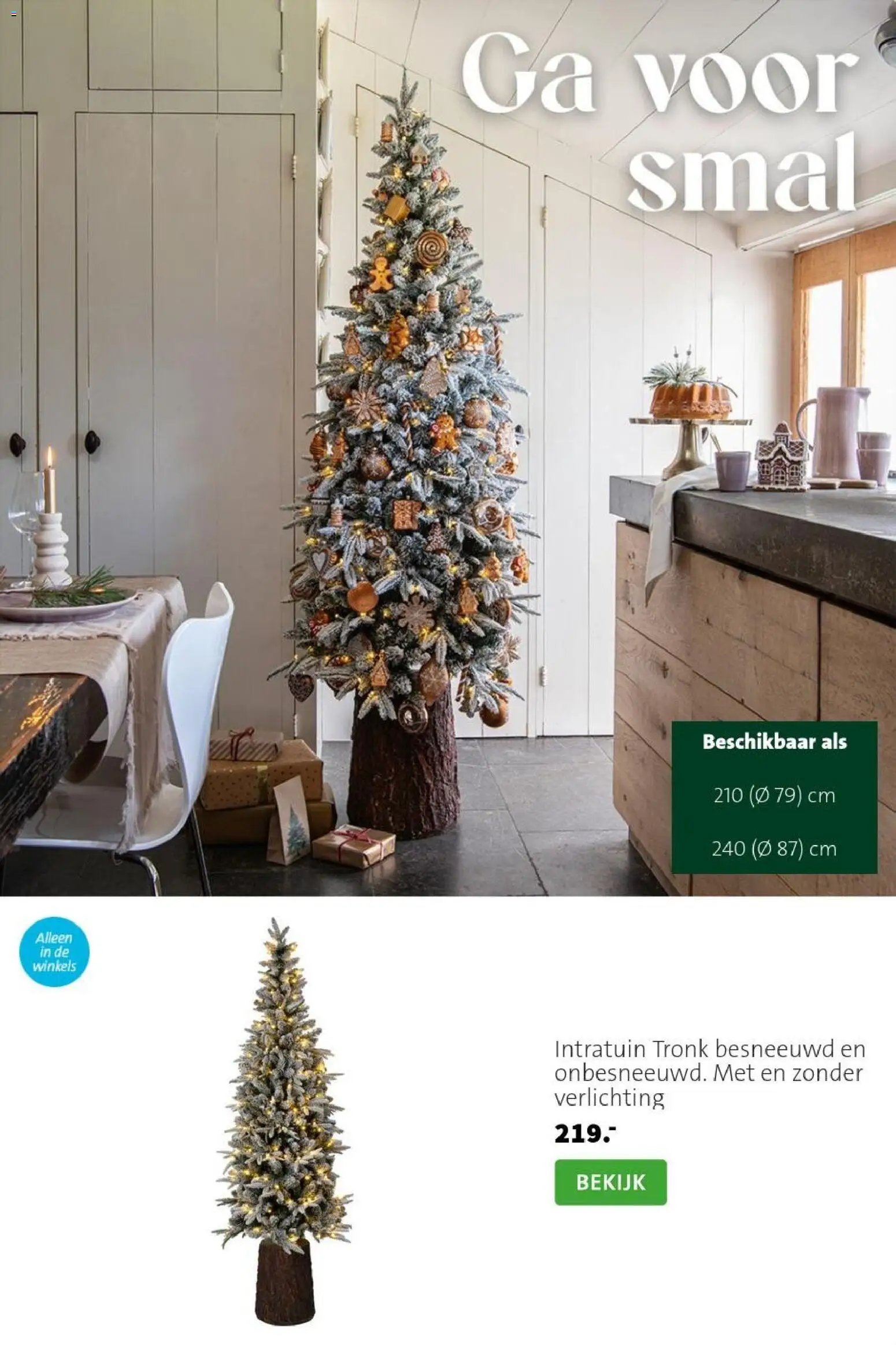 Intratuin folder Kerst bomen