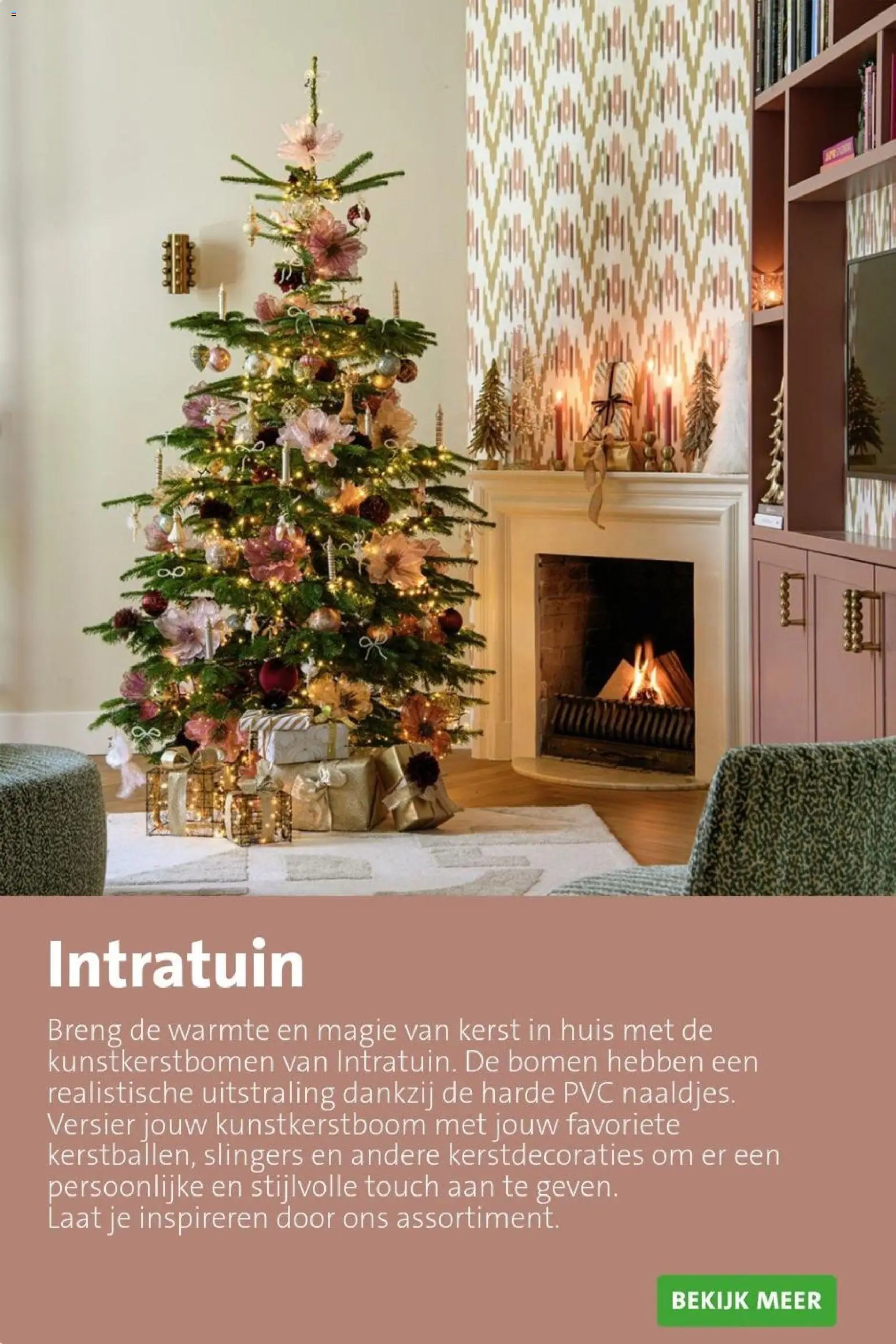 Intratuin folder Kerst bomen