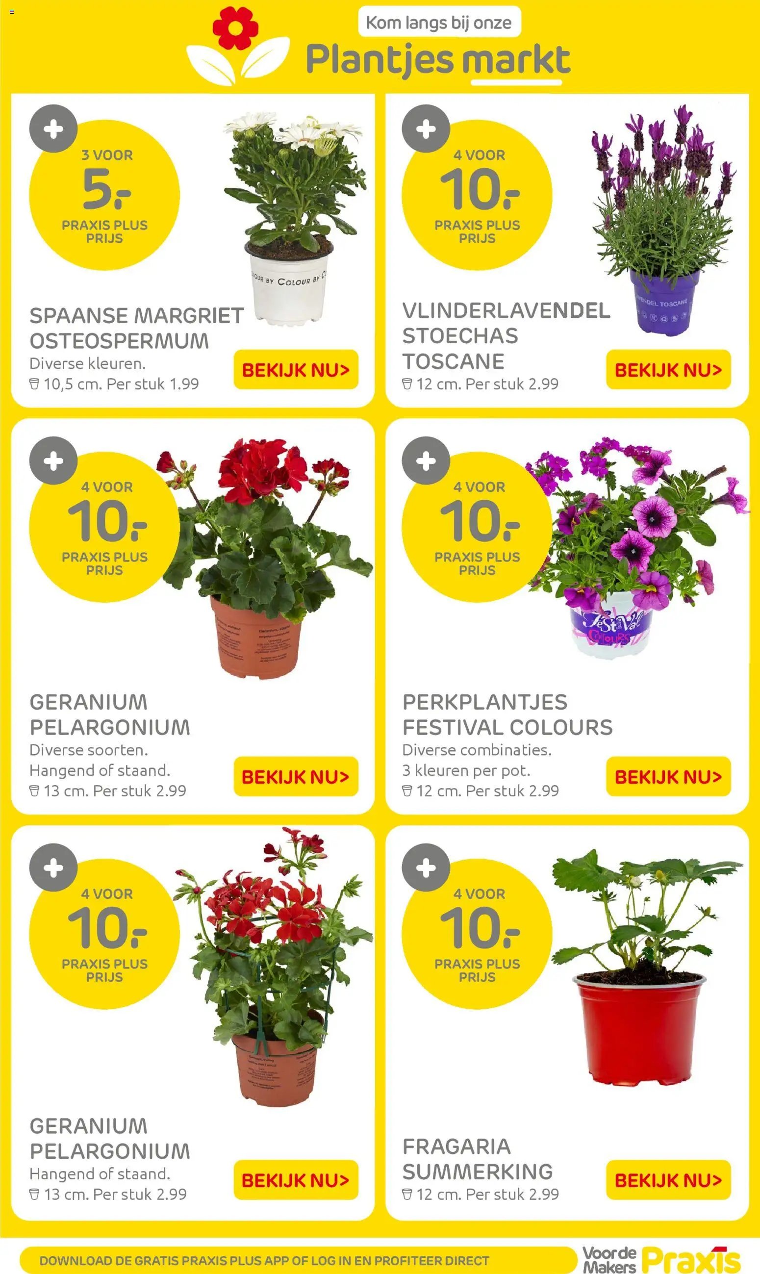 Praxis folder - Weekend actie