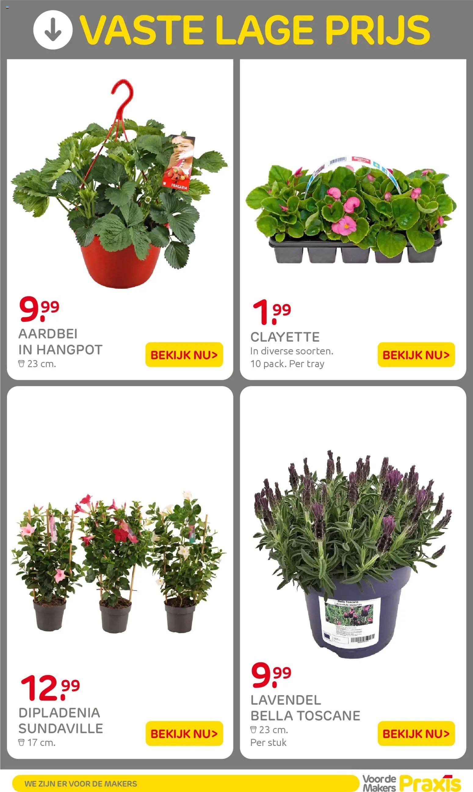 Praxis folder - Weekend actie