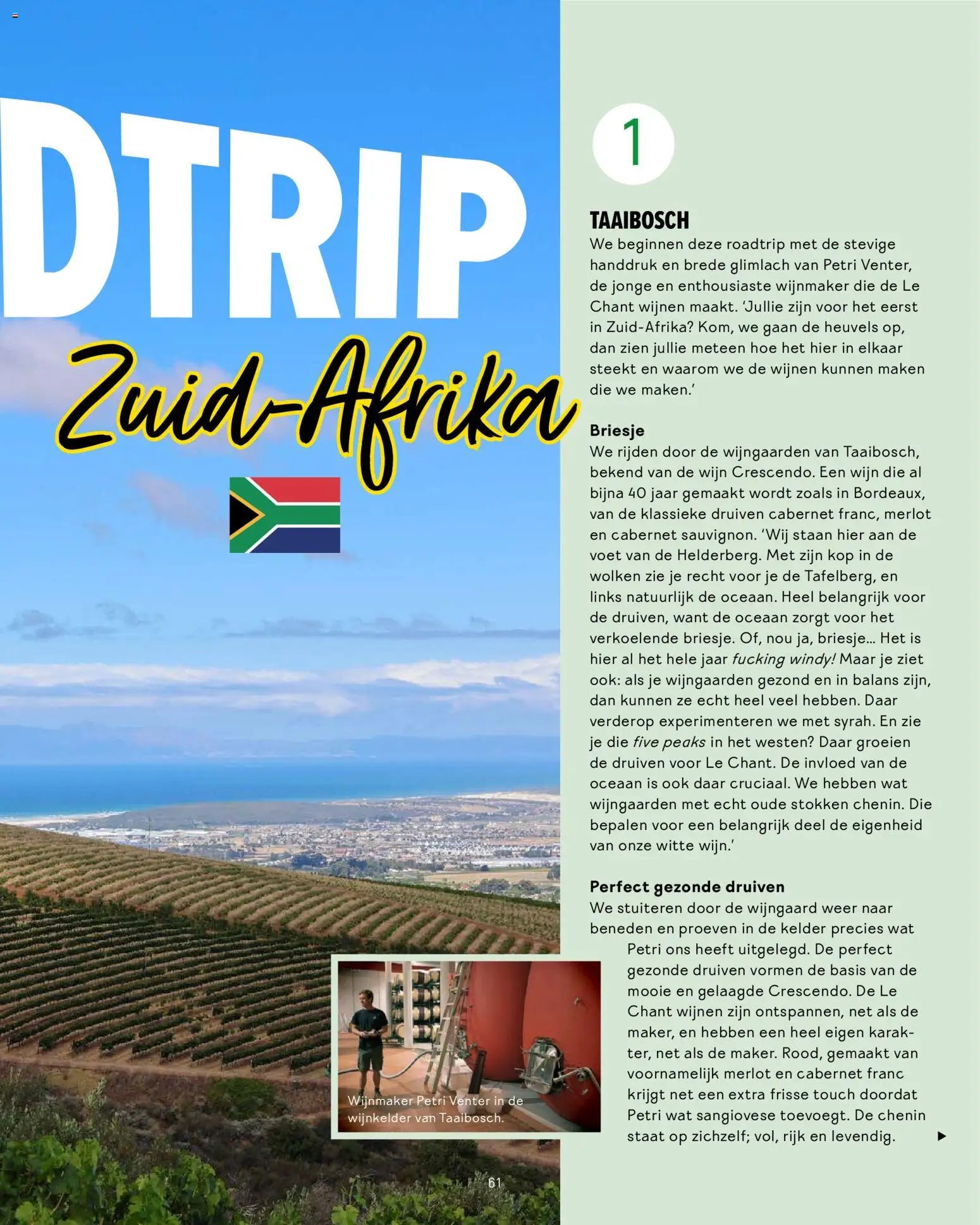 Gall en Gall folder - Toost magazine voorjaar 2026