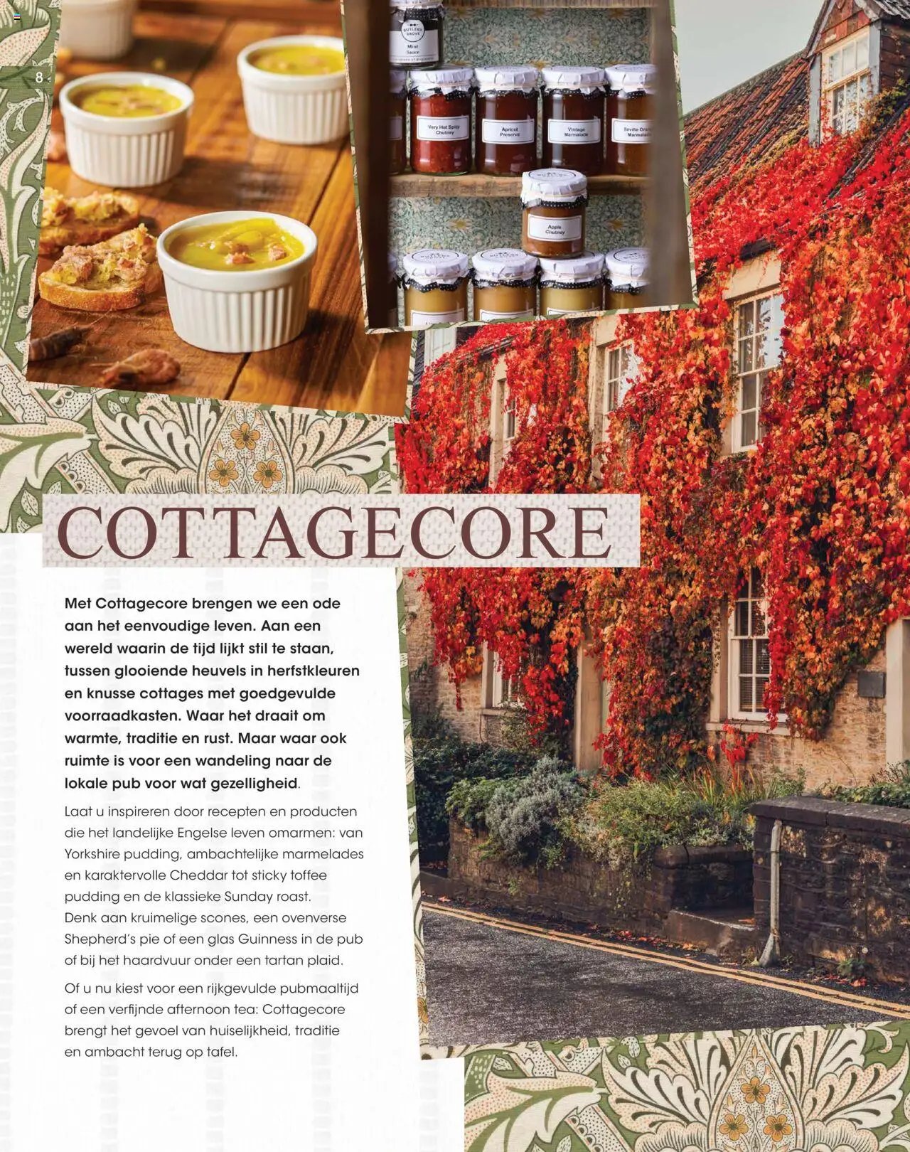 Hanos - Inspiratiemagazine najaar 2025