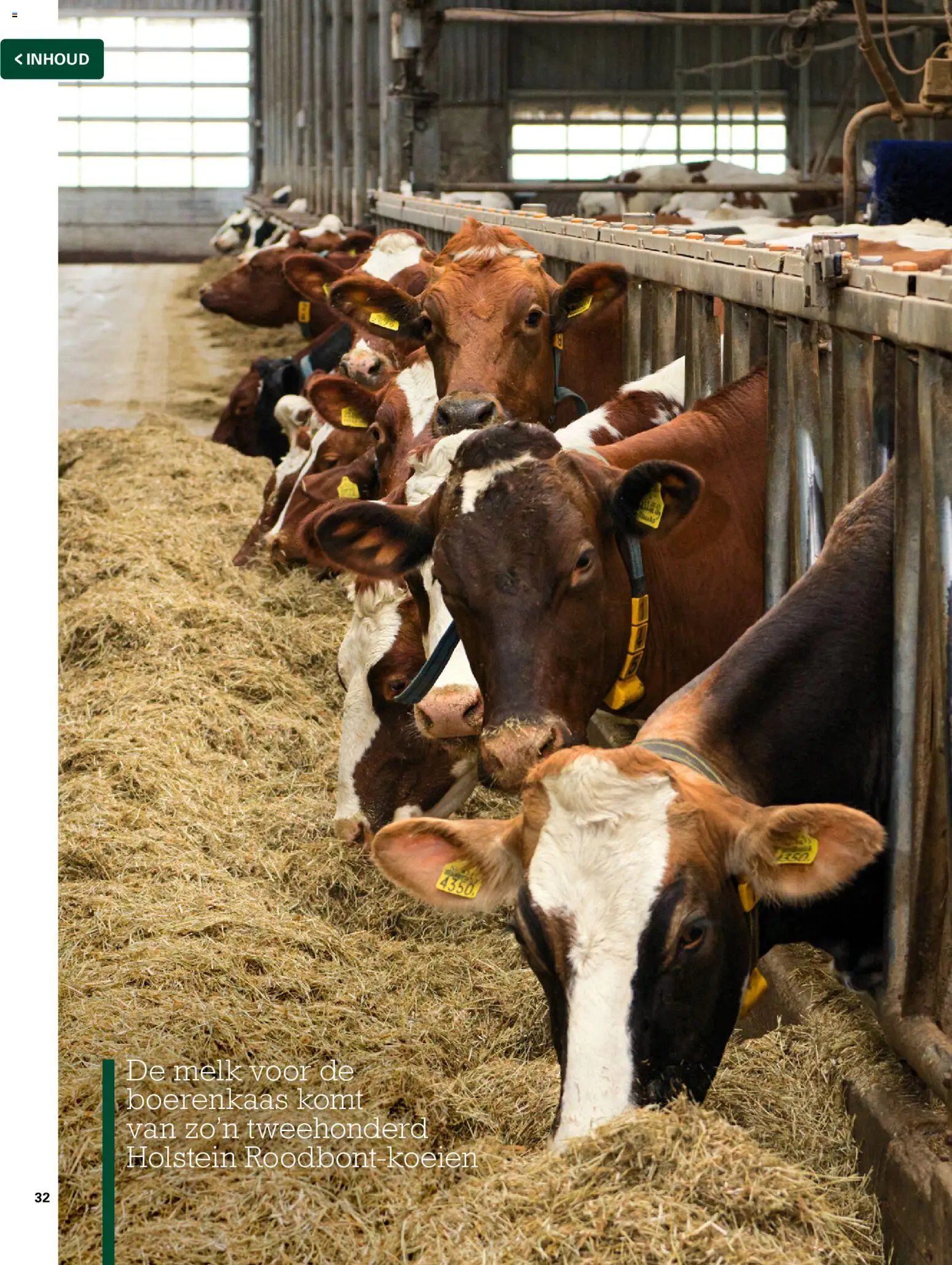 Sligro folder - Volle kracht zomer