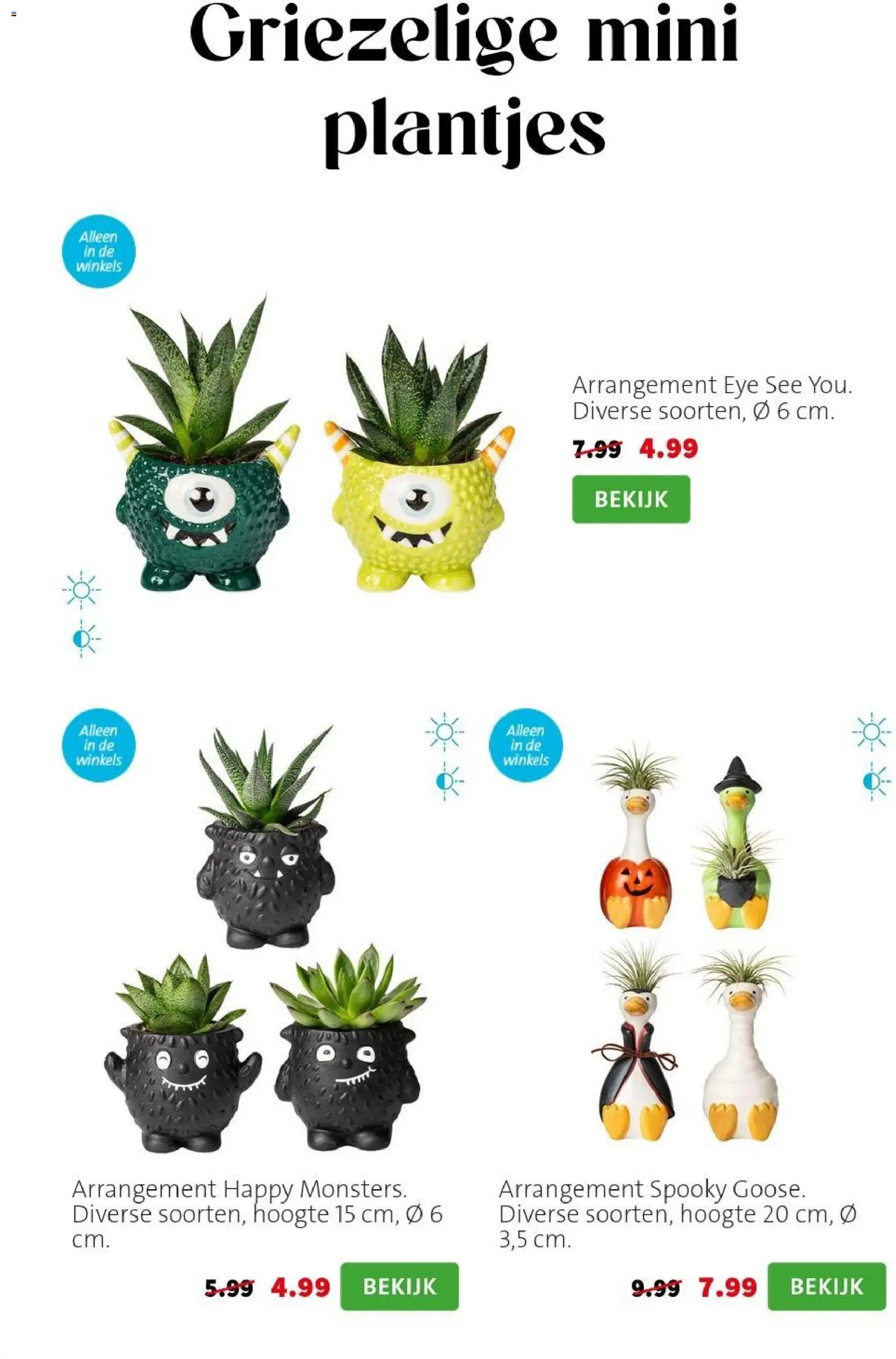 Intratuin - Herfst Sale