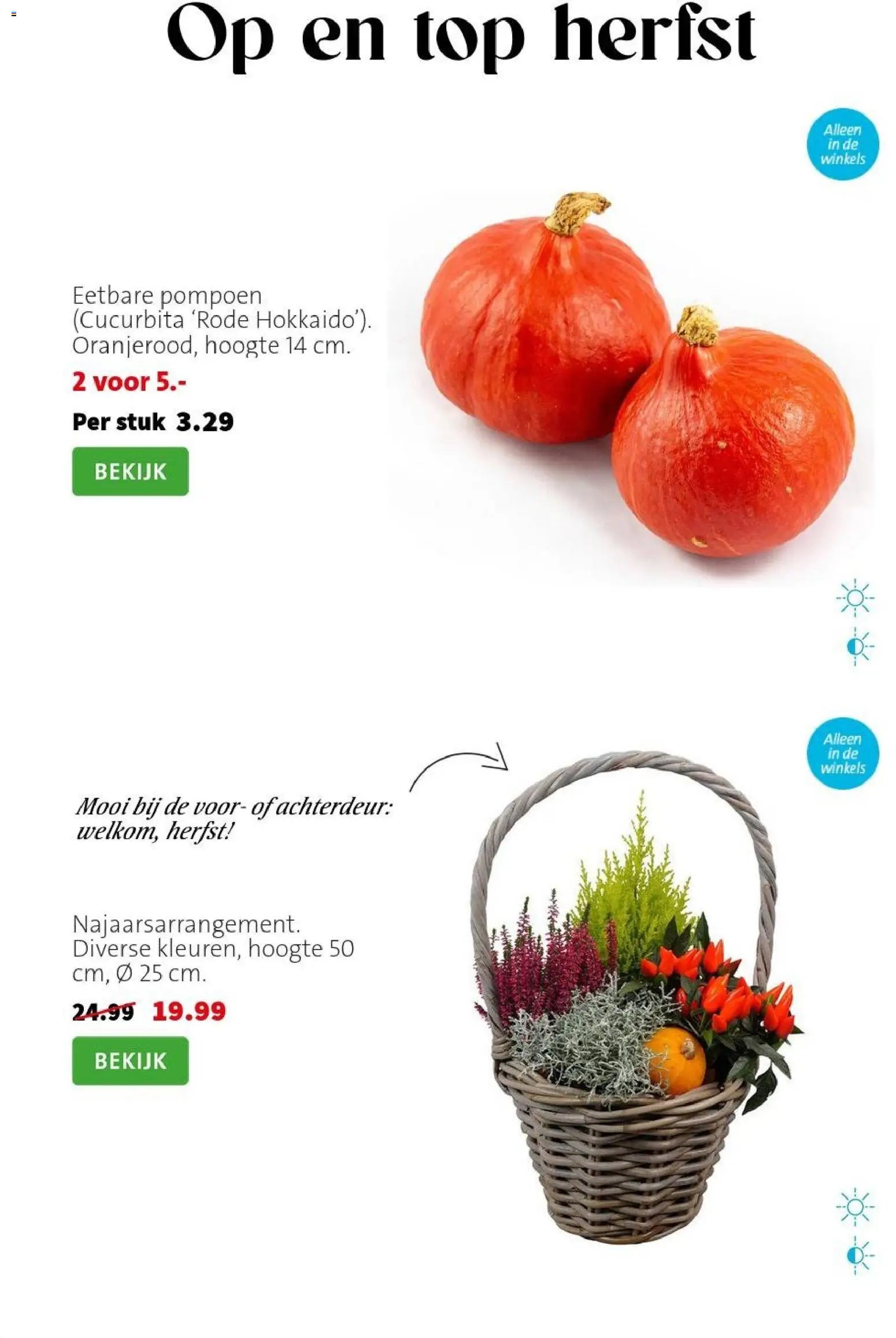 Intratuin - Herfst Sale