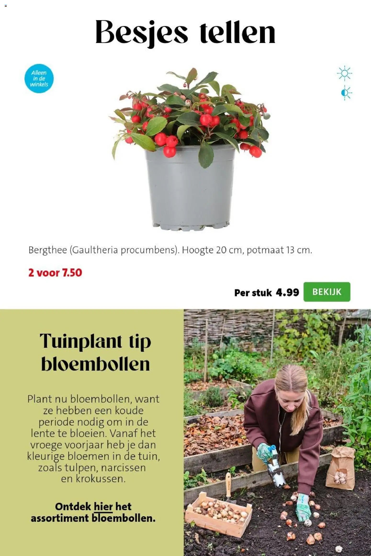 Intratuin - Herfst Sale