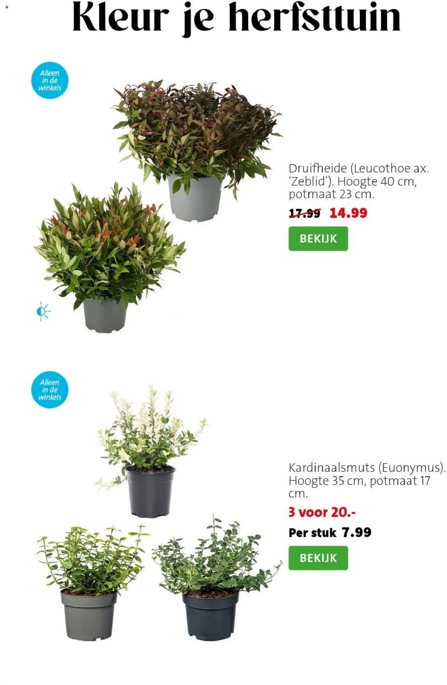 Intratuin - Herfst Sale