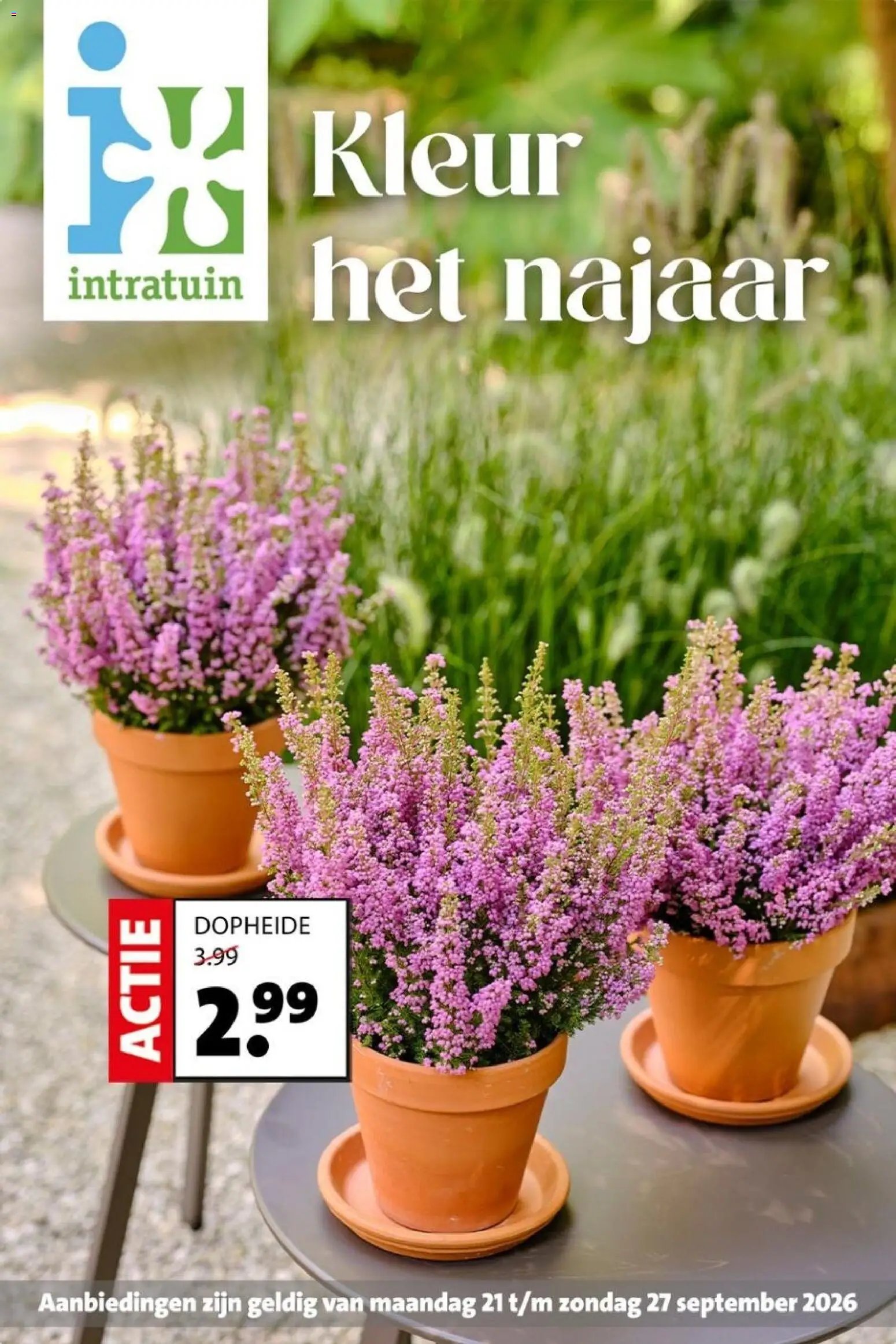 Intratuin folder