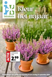 Intratuin folder