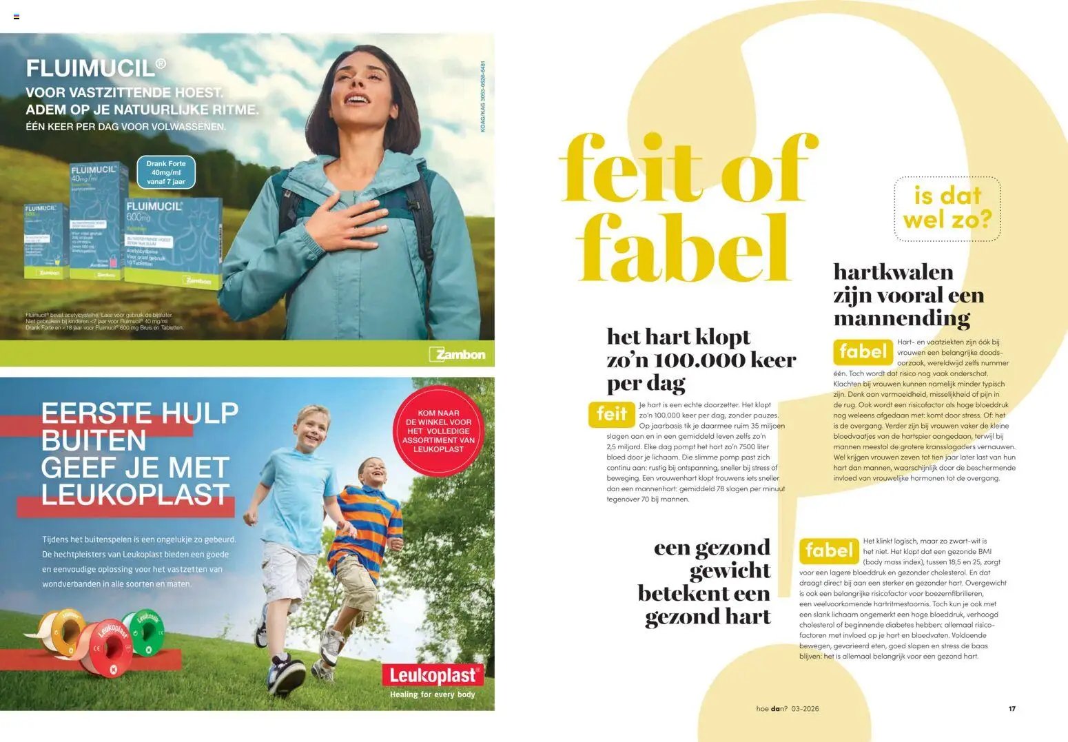Da folder Magazine