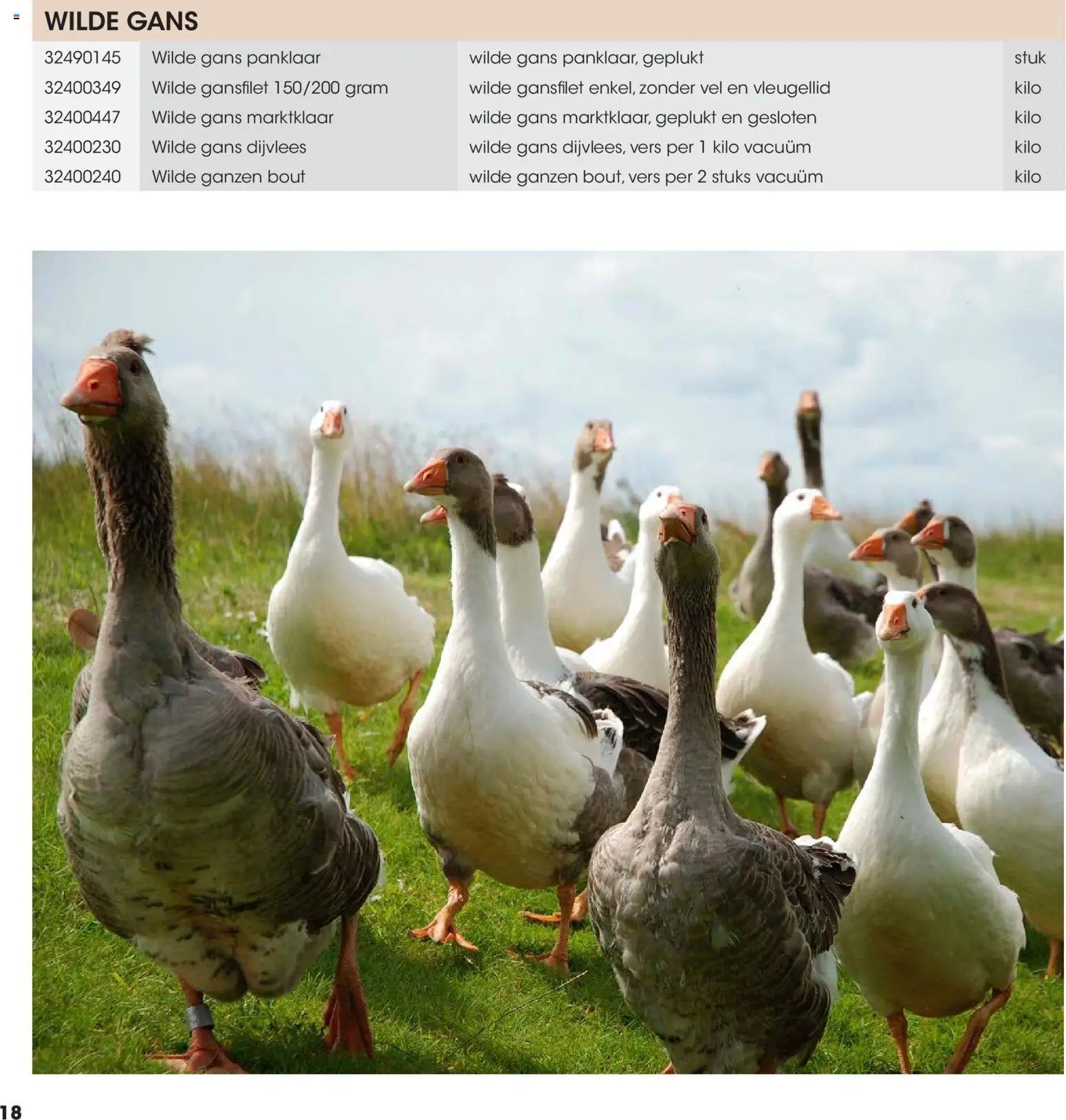 Hanos folder - Wildbrochure 2026/2027