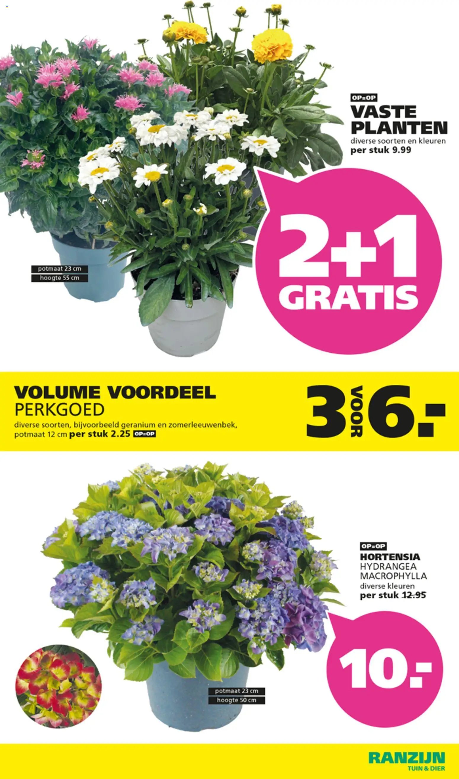 Ranzijn folder