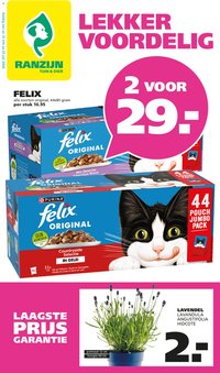 Ranzijn folder