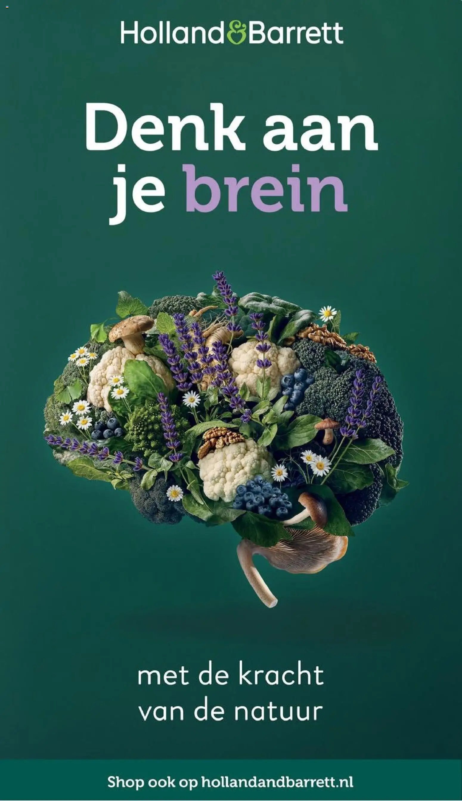 Holland & Barrett - Folder (2026-02-09 - 2026-02-15)