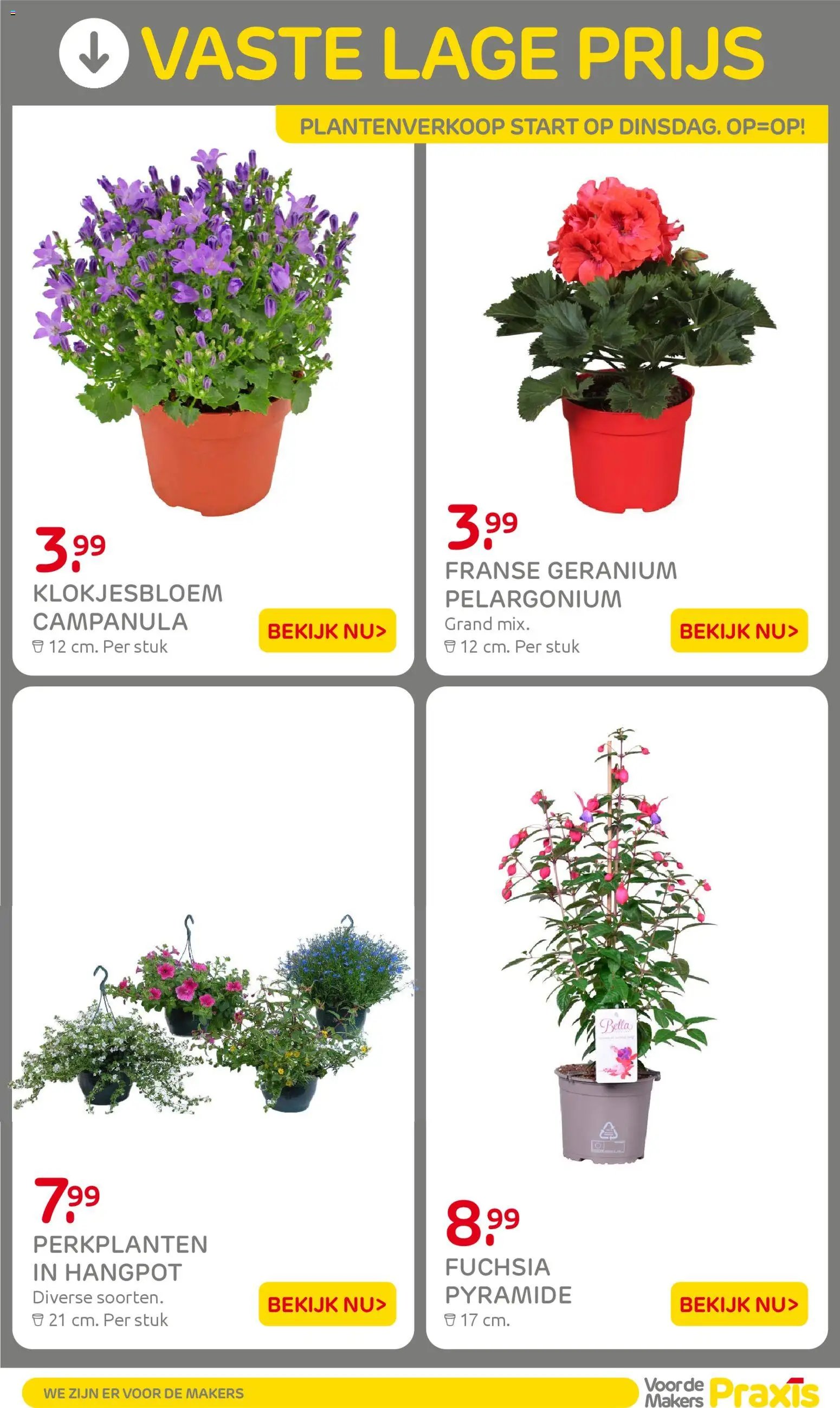 Praxis folder - Weekend actie