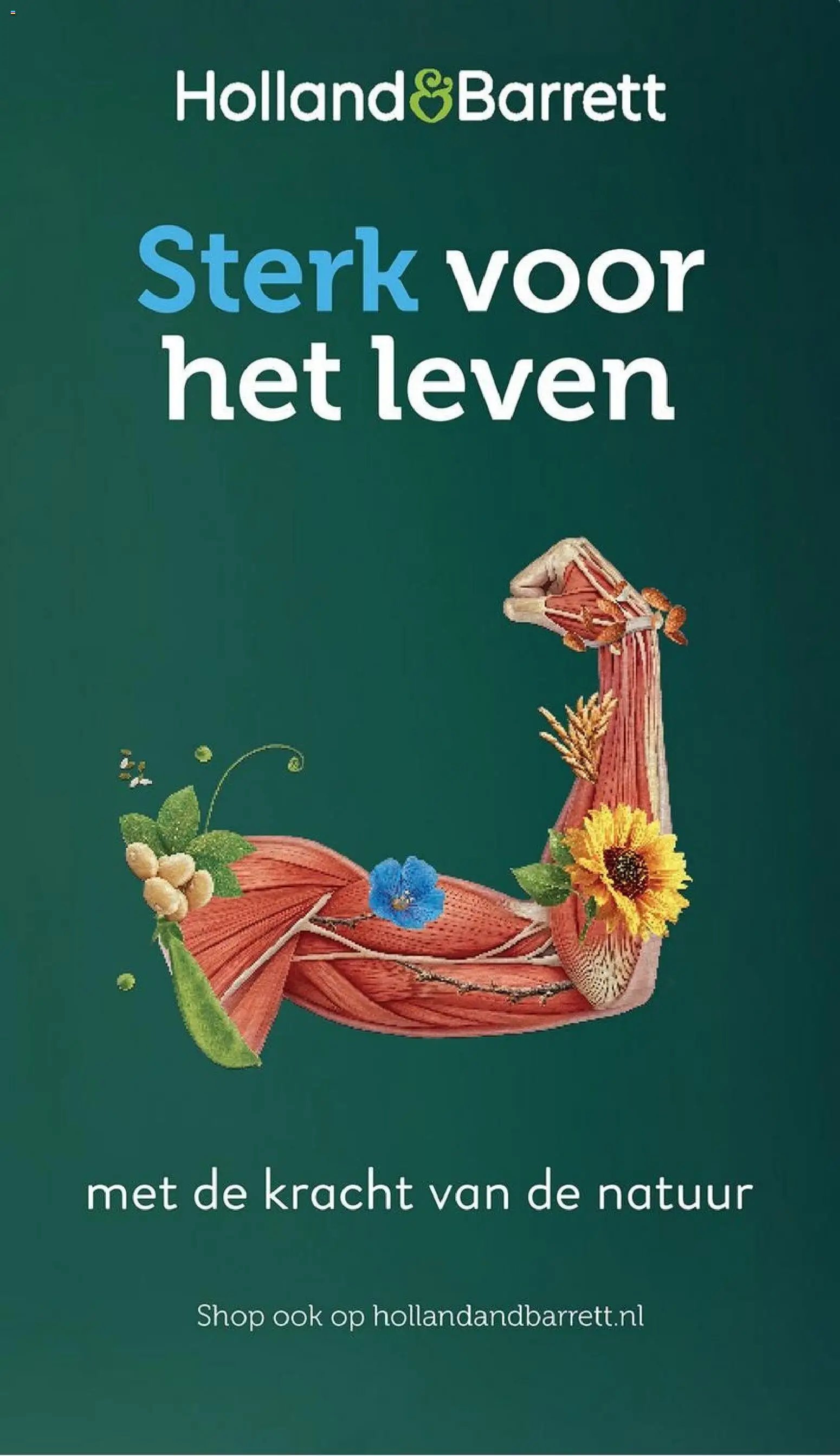 Holland & Barrett folder (2026-04-03 - 2026-04-19)