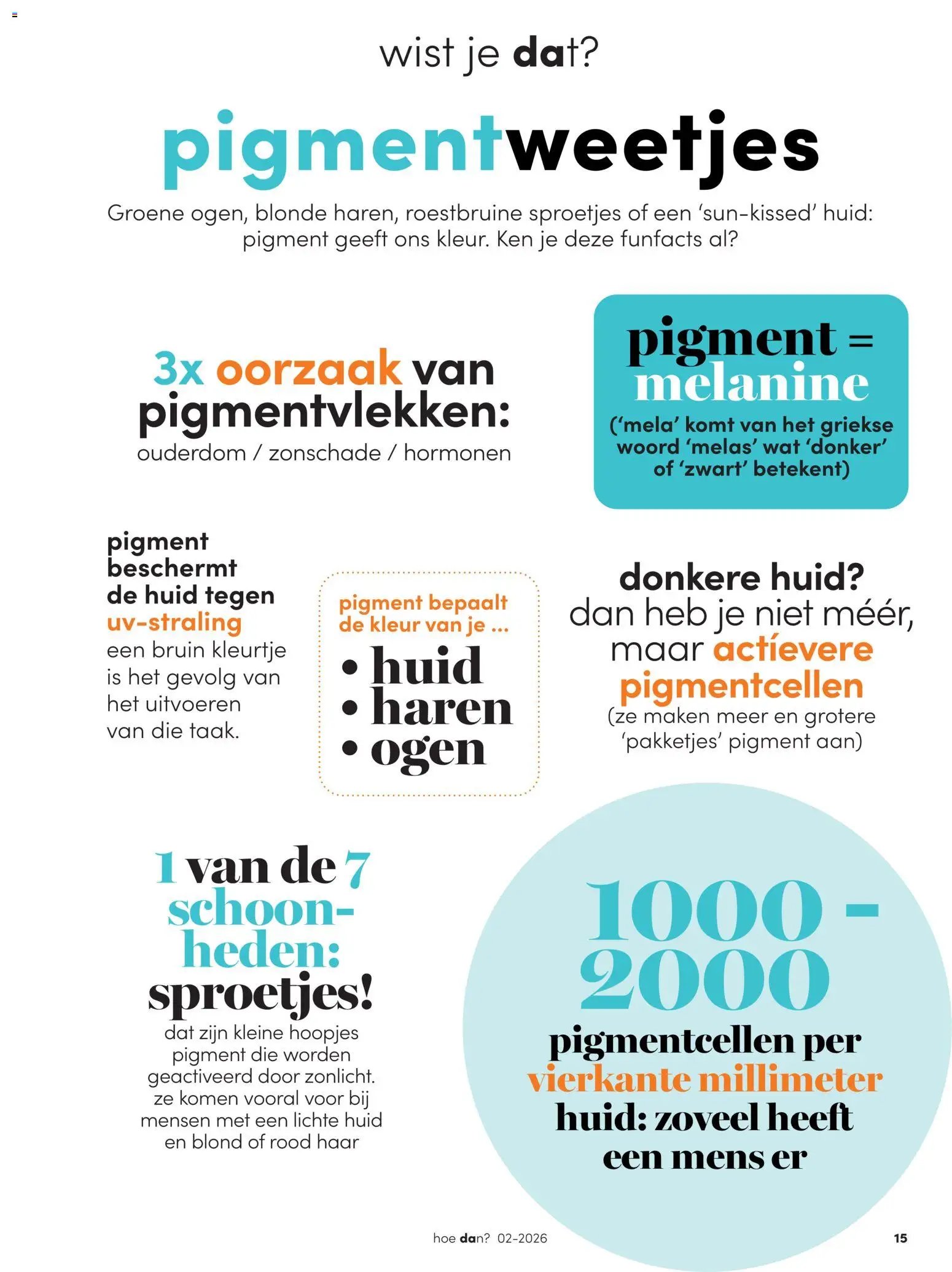 Da folder - Magazine