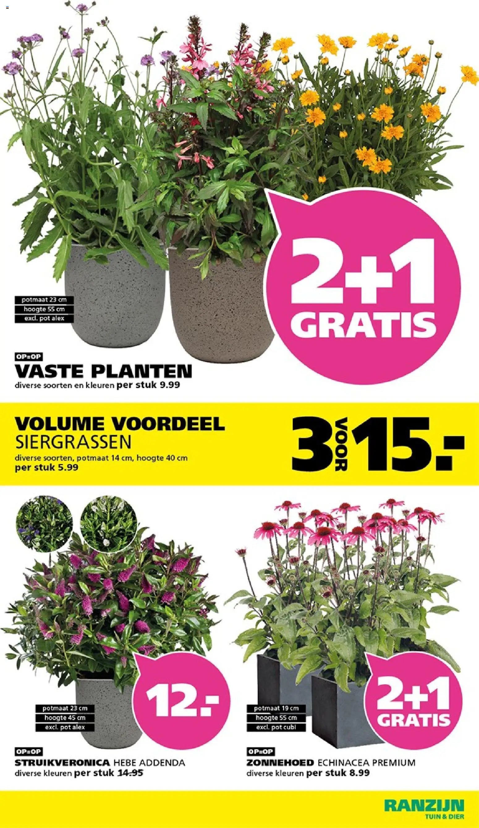 Ranzijn folder