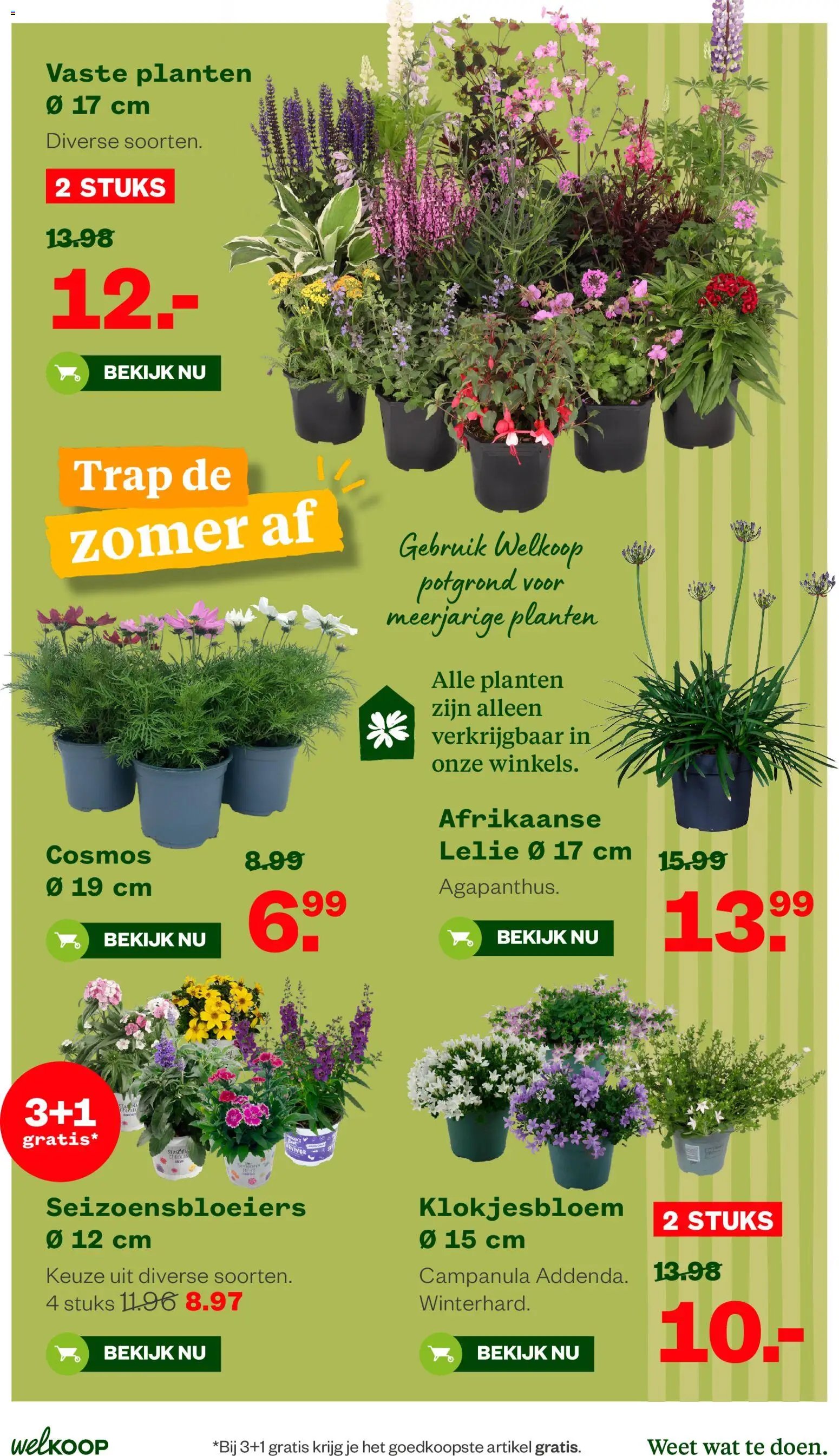 Welkoop folder
