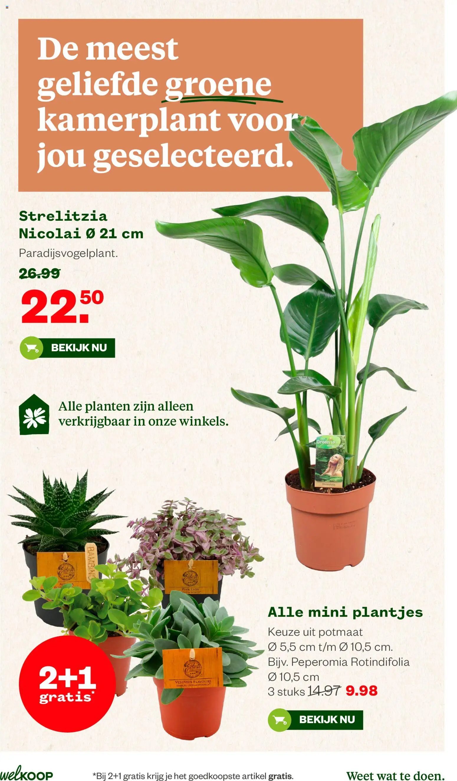 Welkoop folder