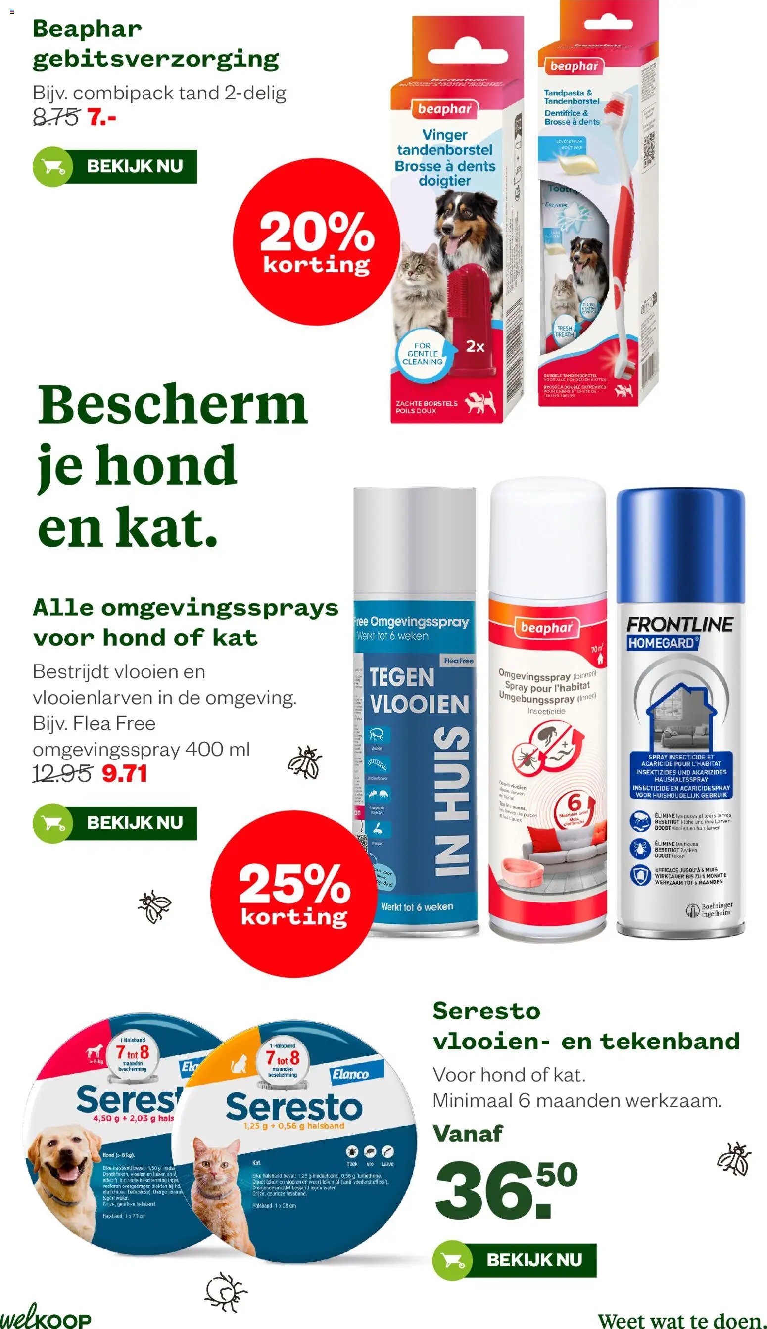 Welkoop folder