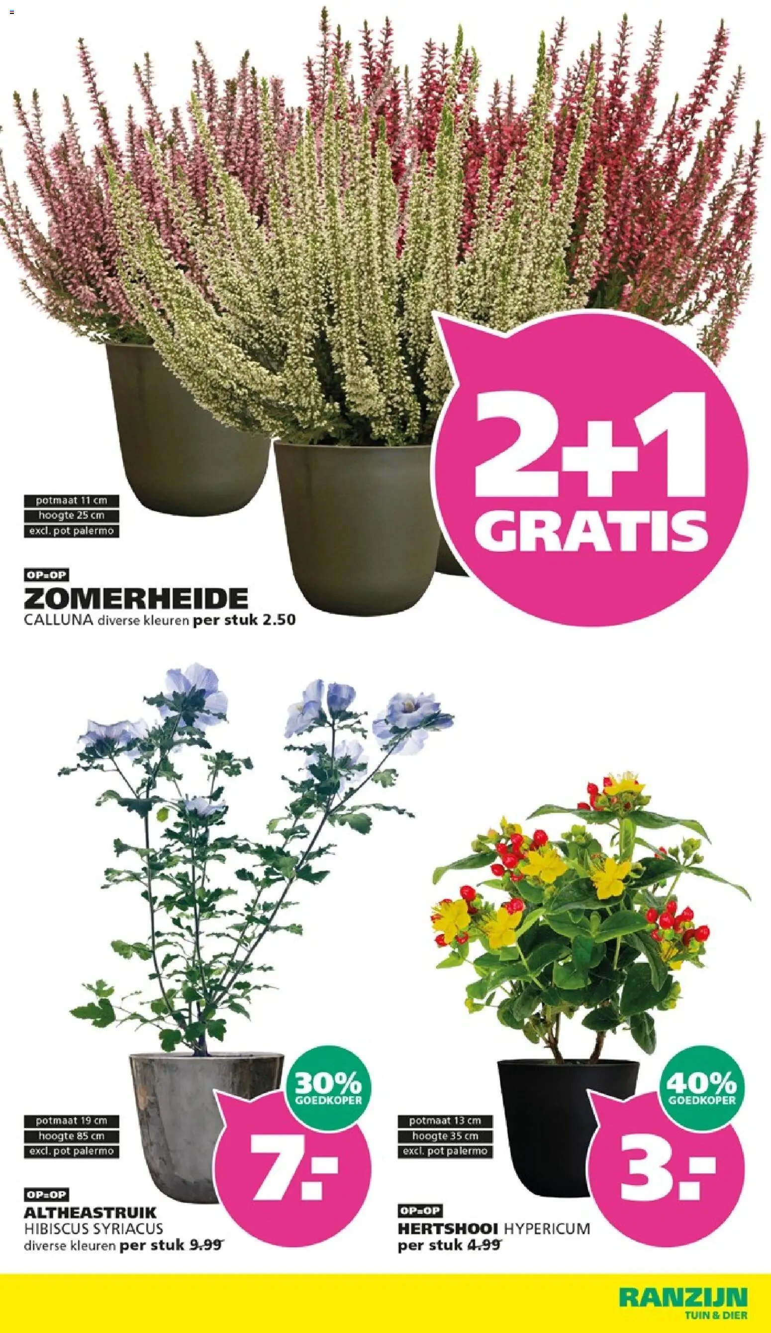Ranzijn folder