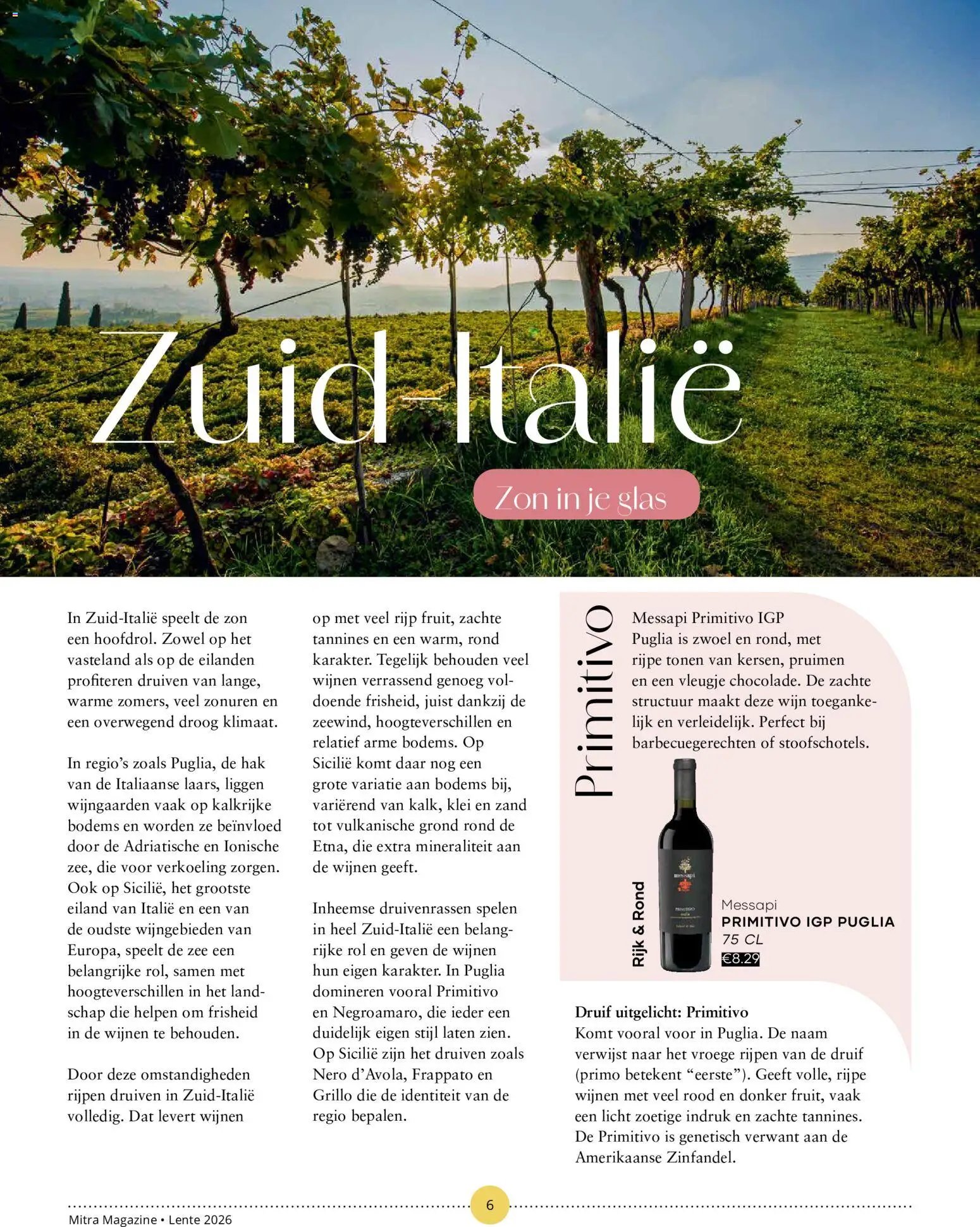 Mitra folder - Magazine