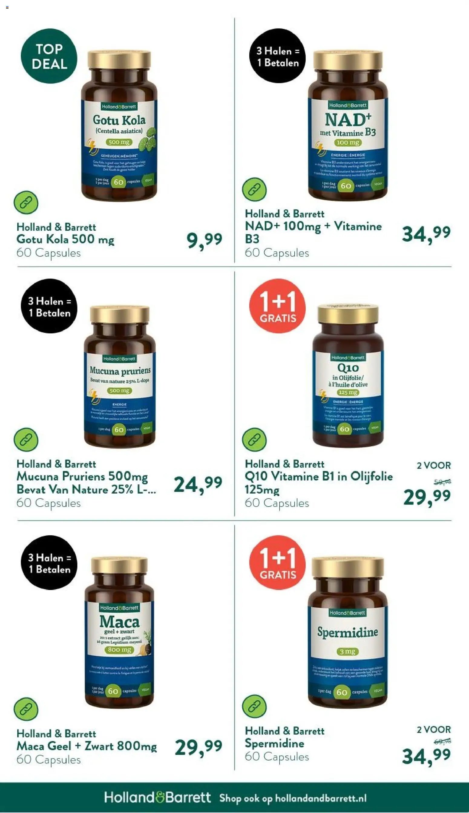 Holland & Barrett folder