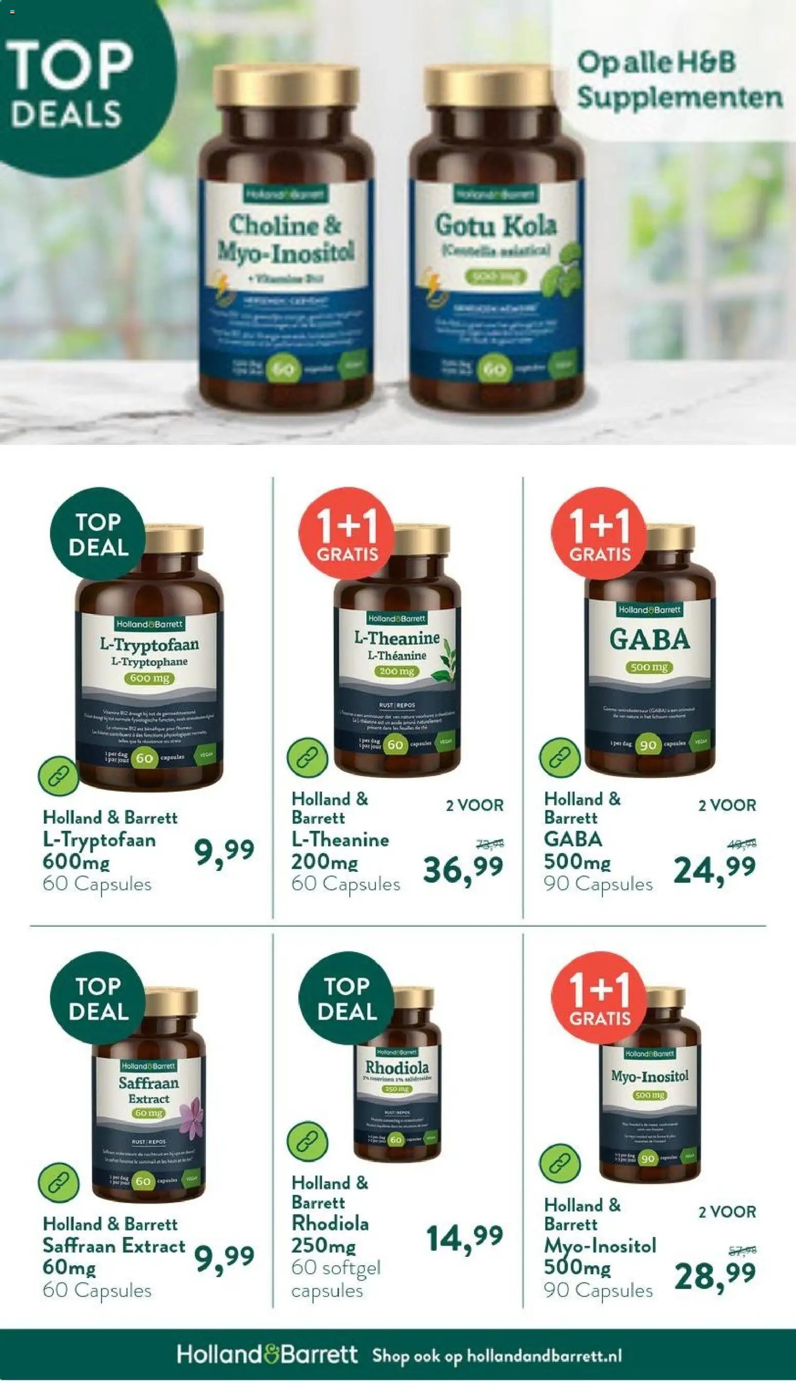 Holland & Barrett folder