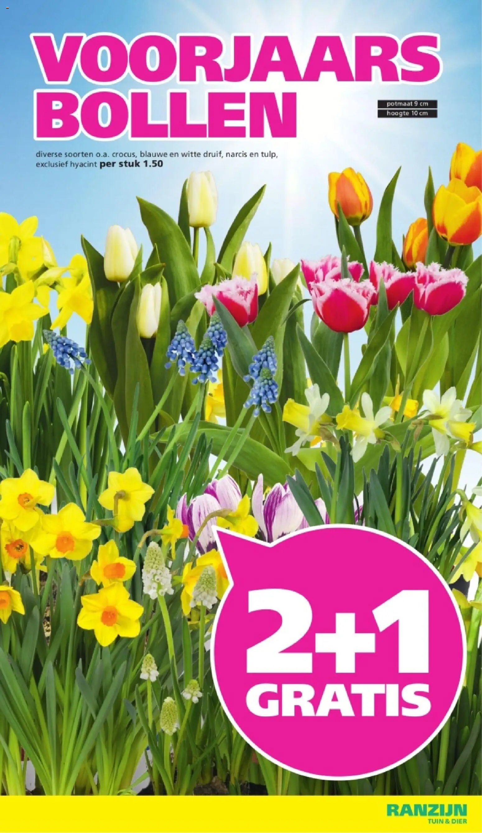 Ranzijn - Tuin and dier