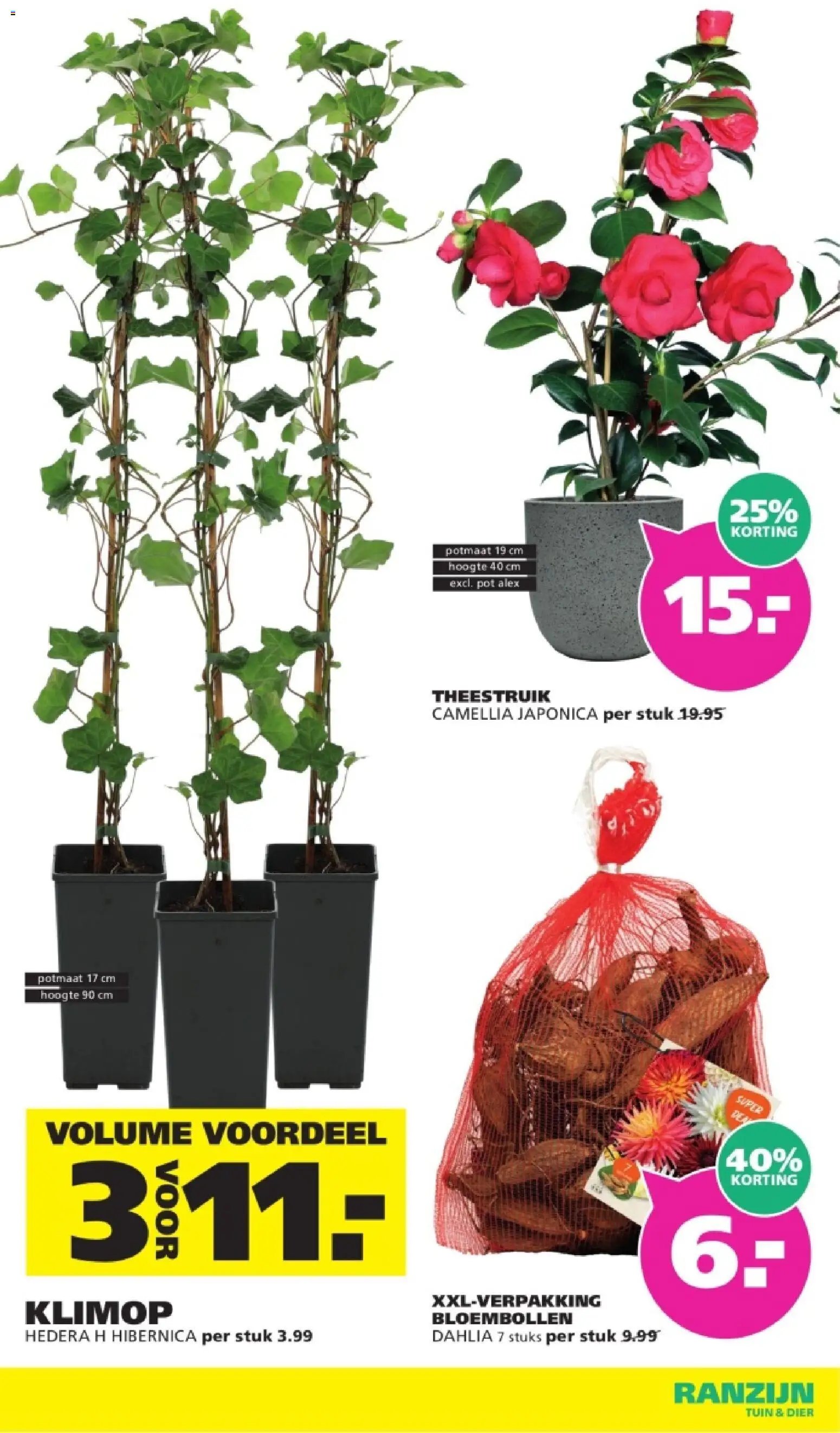 Ranzijn - Tuin and dier