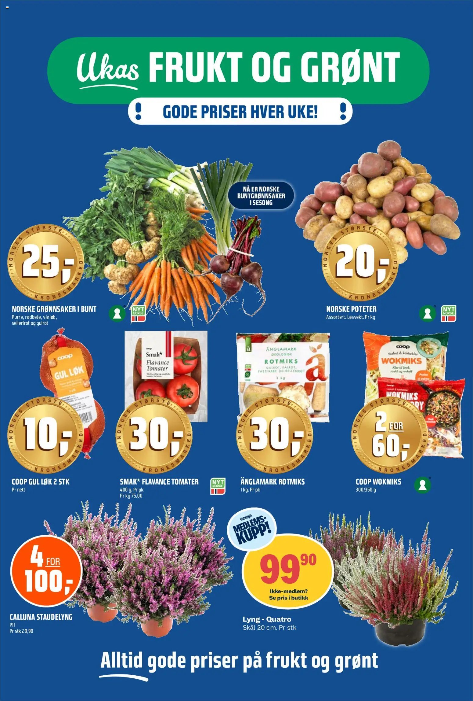 Coop Obs kundeavis