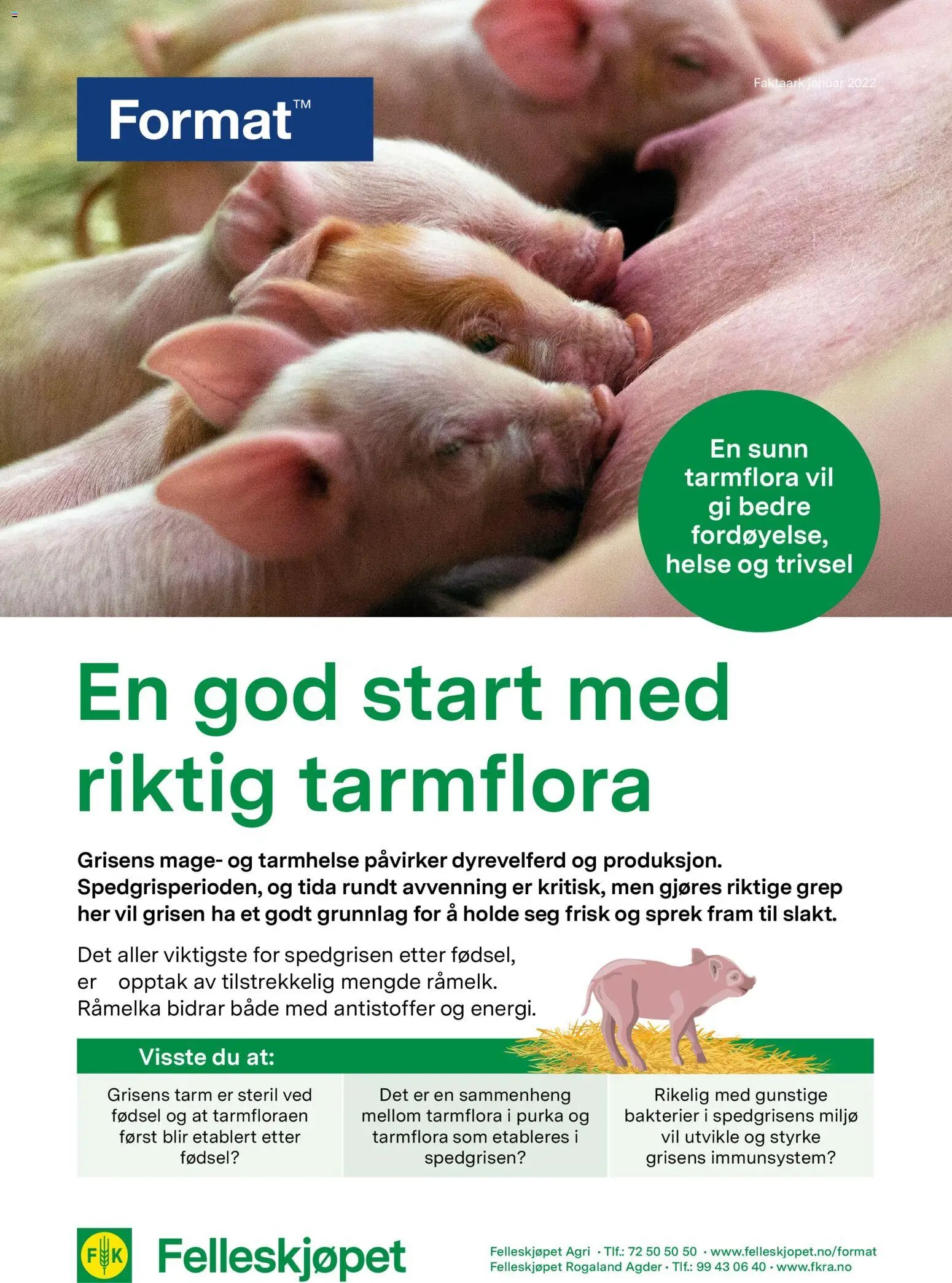 Felleskjøpet En god start med riktig tarmflora (2026-01-02 - 2027-01-03)