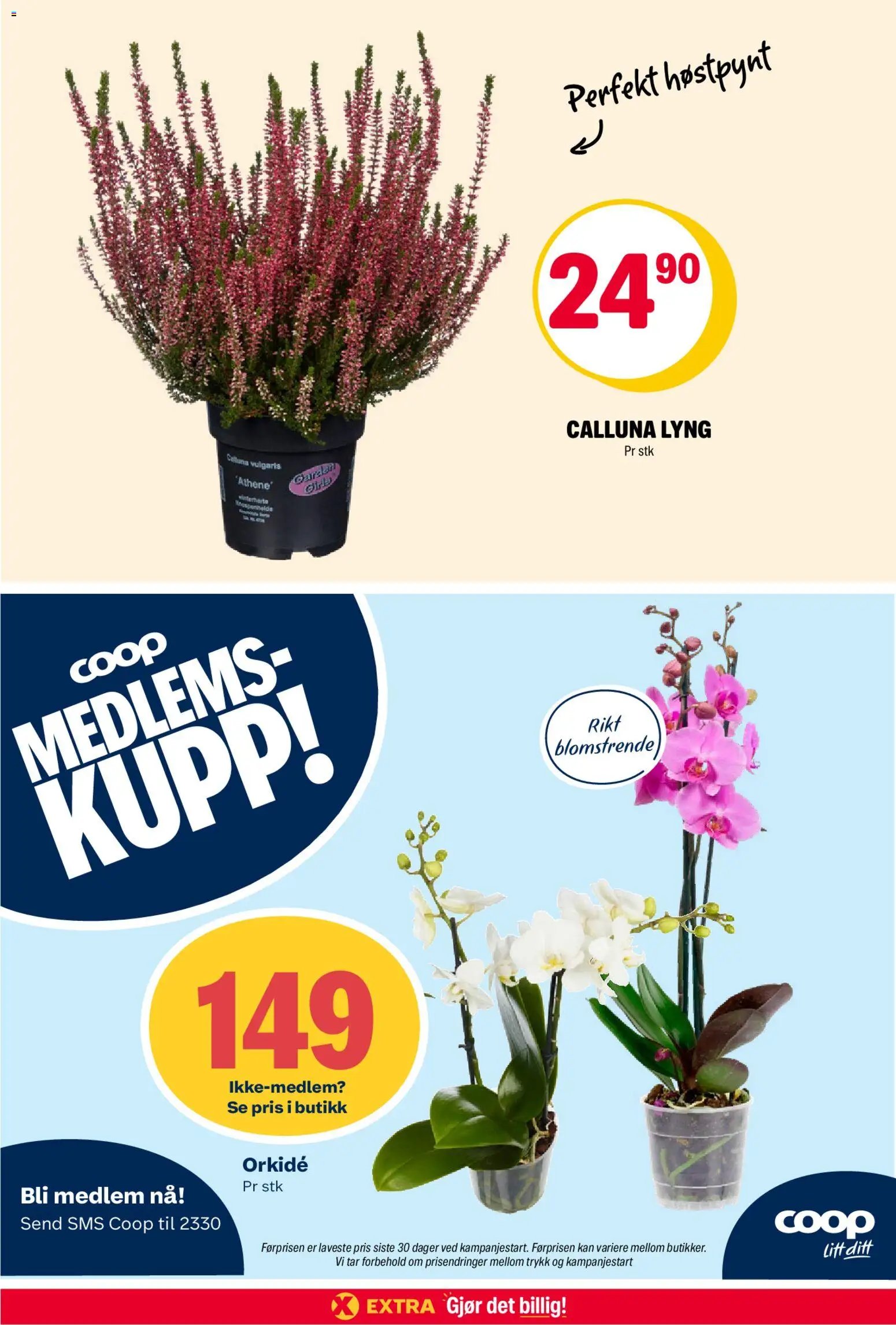 Coop Obs kundeavis extra