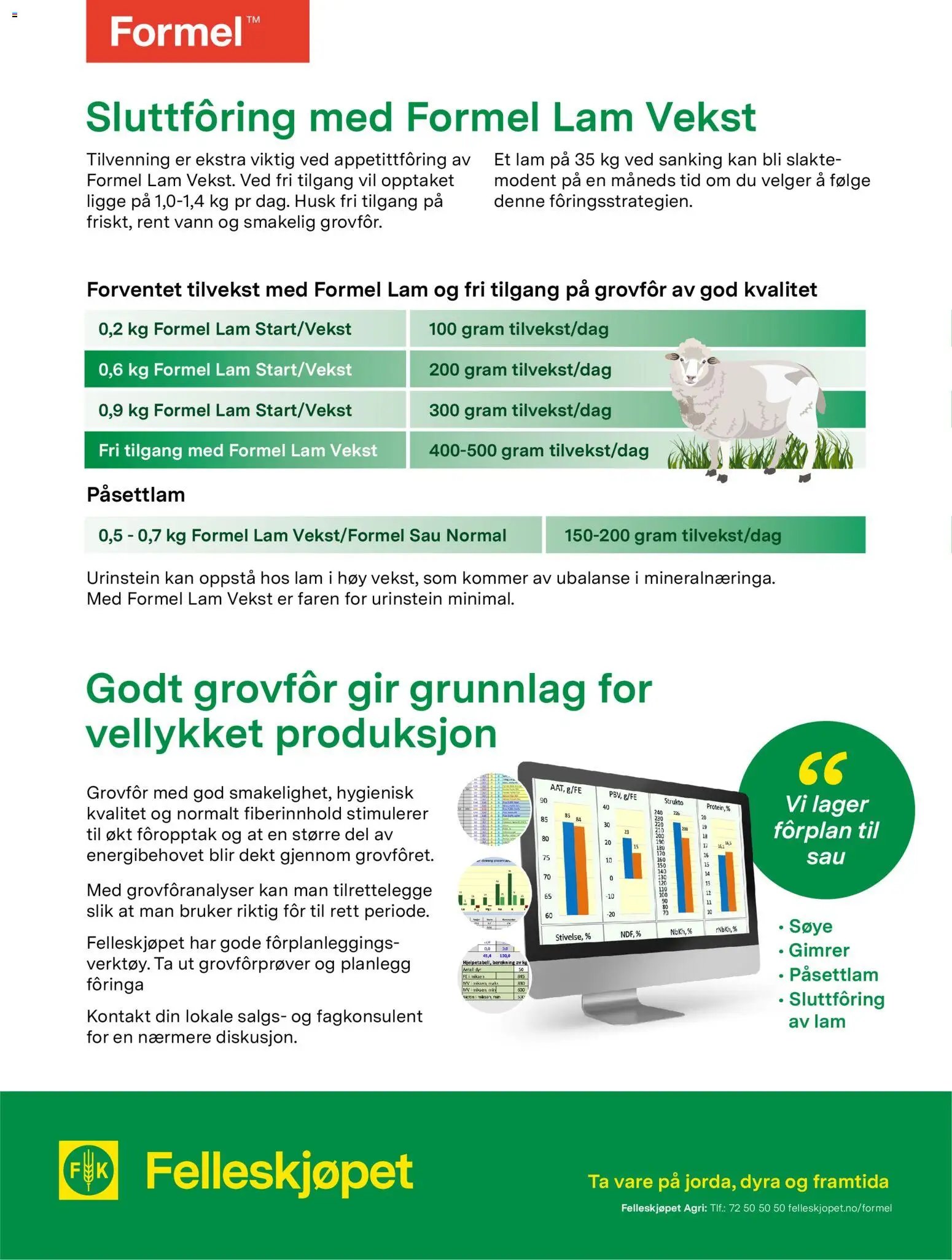 Felleskjøpet Kvalitetslam til rett tid gir god økonomi (2026-01-02 - 2027-01-03)