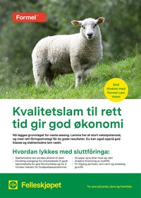 Felleskjøpet Kvalitetslam til rett tid gir god økonomi (2026-01-02 - 2027-01-03)