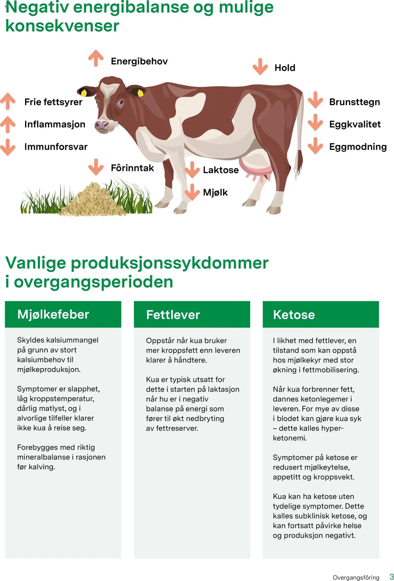 Felleskjøpet Overgangsfôring