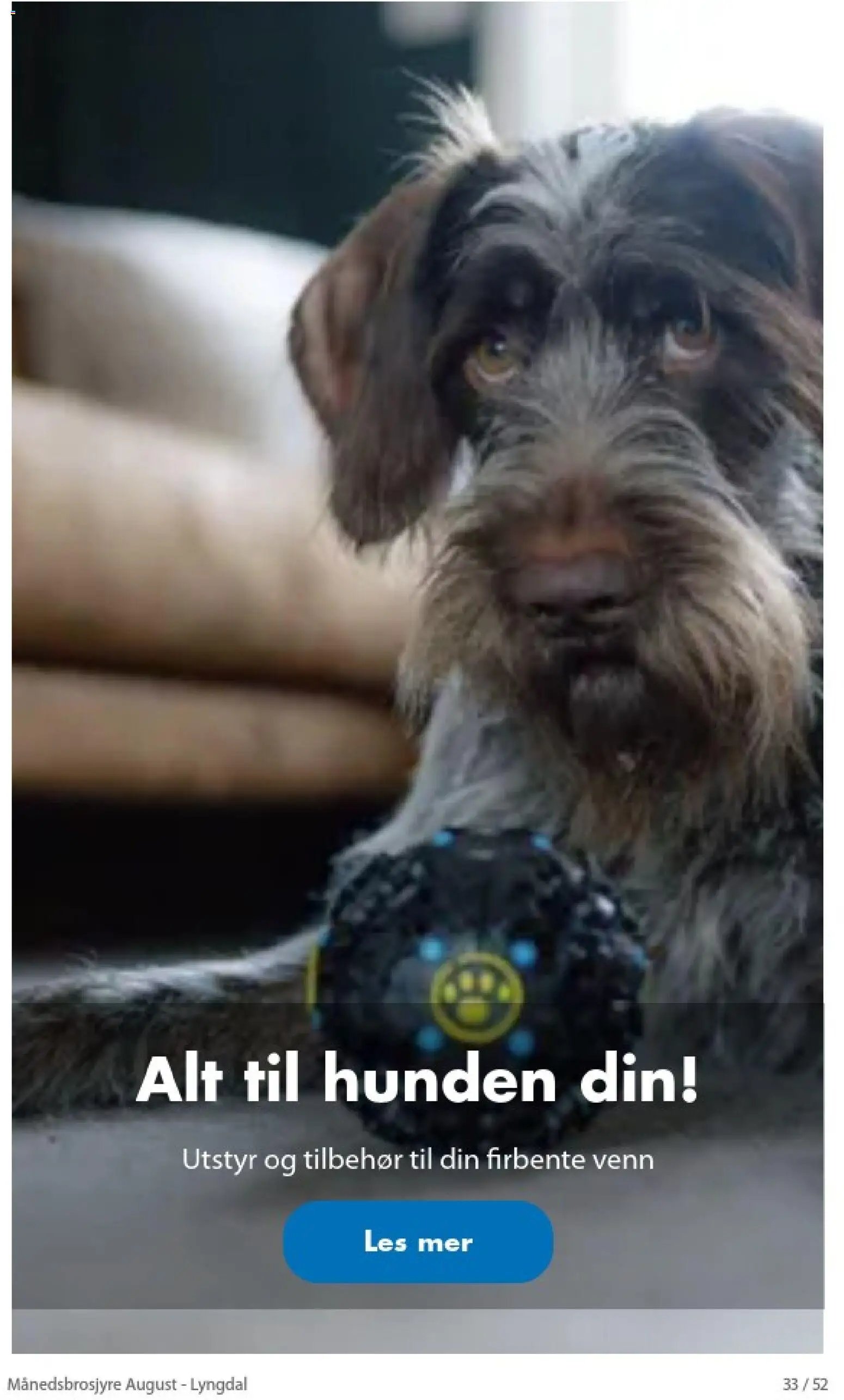 Biltema Månedsbrosjyre August - National