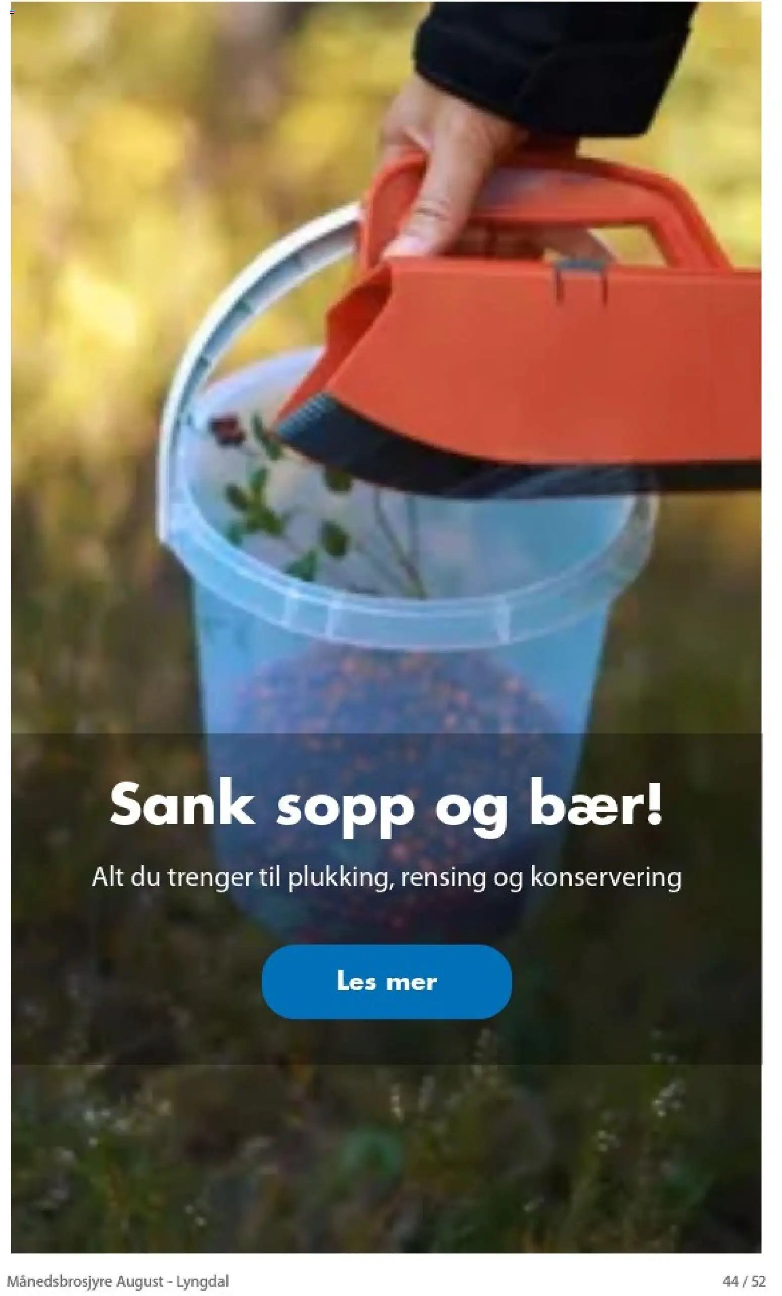 Biltema Månedsbrosjyre August - National