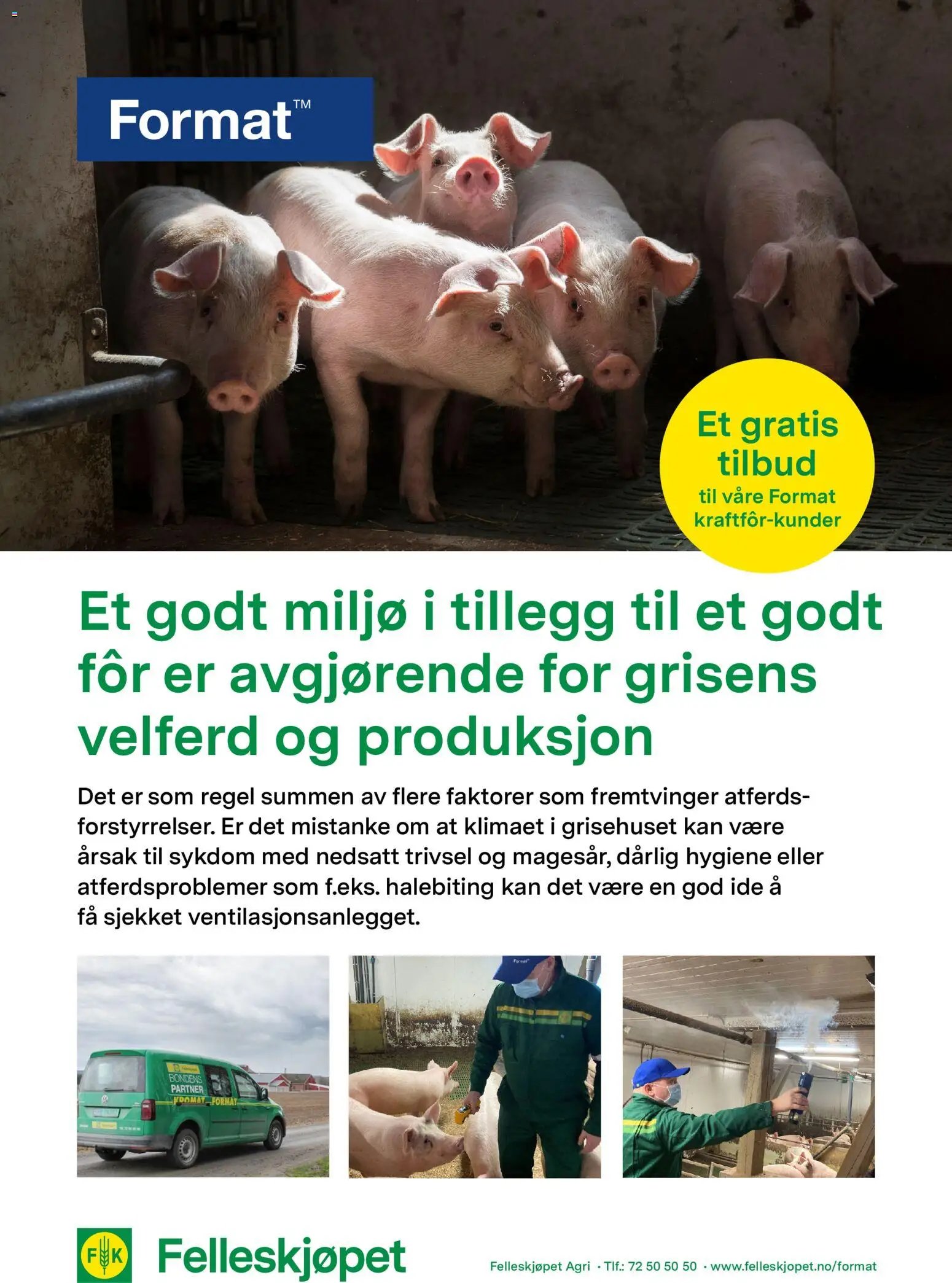Felleskjøpet - Et godt miljø i tillegg til et godt fôr er avgjørende for grisens velferd og (2026-01-02 - 2027-01-03)