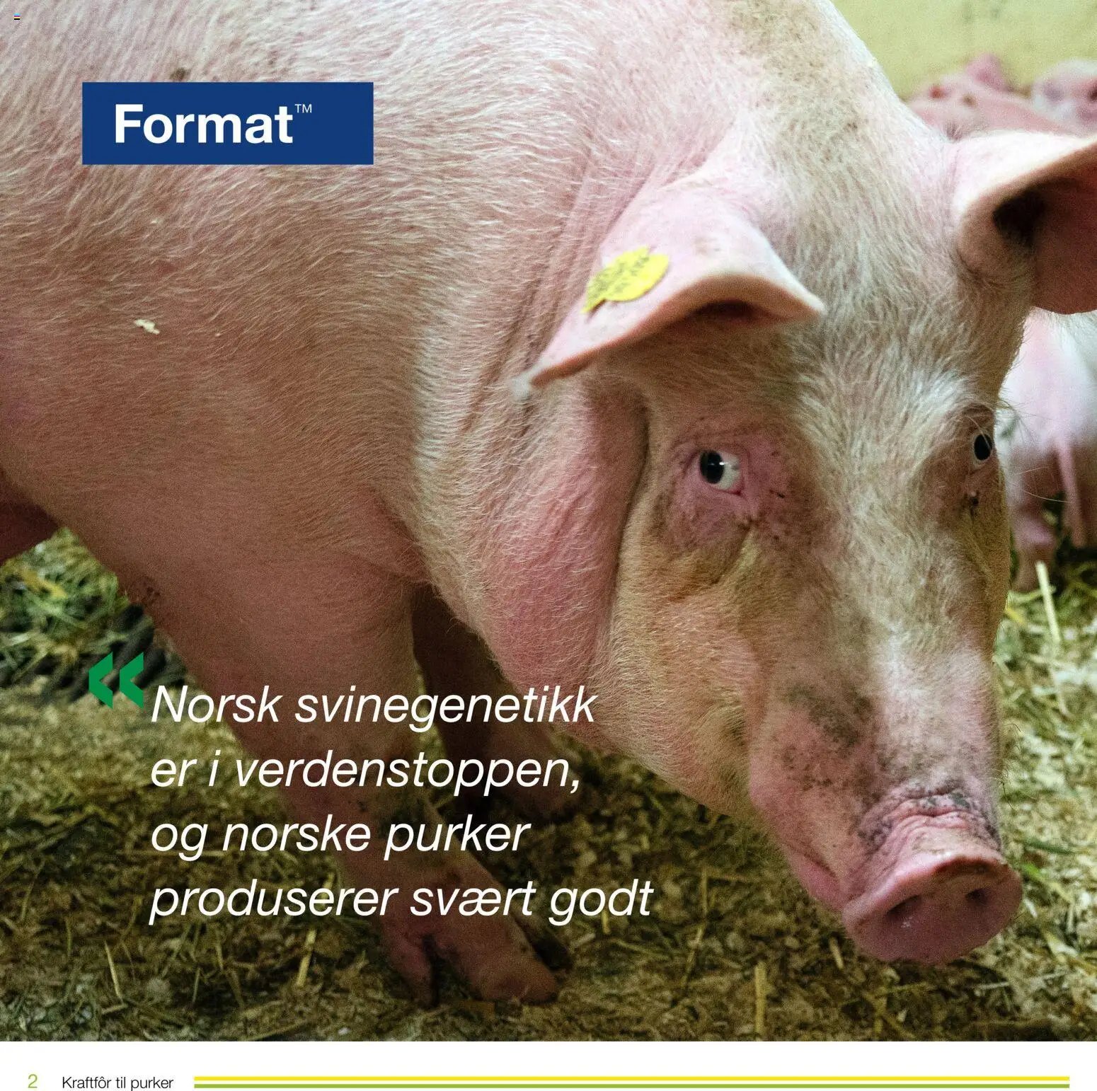 Felleskjøpet Kraftfôr til purker (2026-01-02 - 2027-01-03)