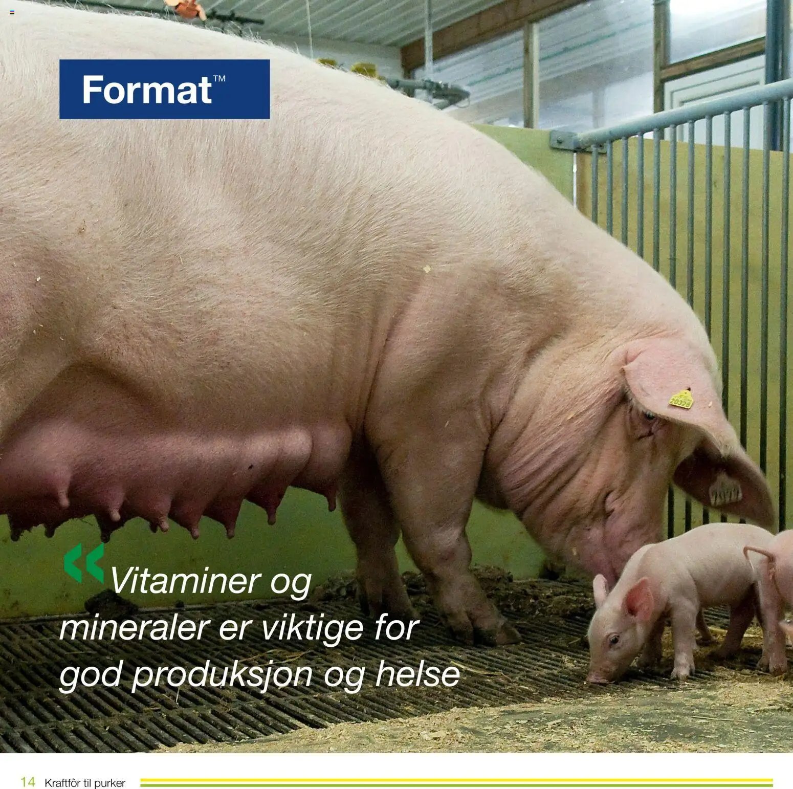 Felleskjøpet Kraftfôr til purker (2026-01-02 - 2027-01-03)