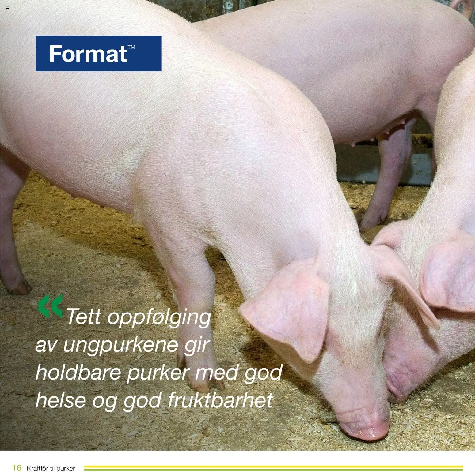 Felleskjøpet Kraftfôr til purker (2026-01-02 - 2027-01-03)