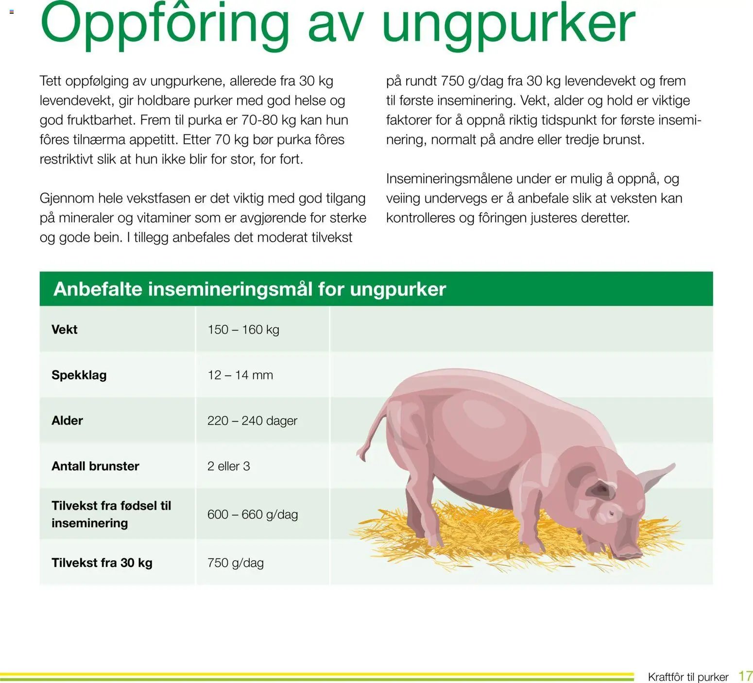 Felleskjøpet Kraftfôr til purker (2026-01-02 - 2027-01-03)