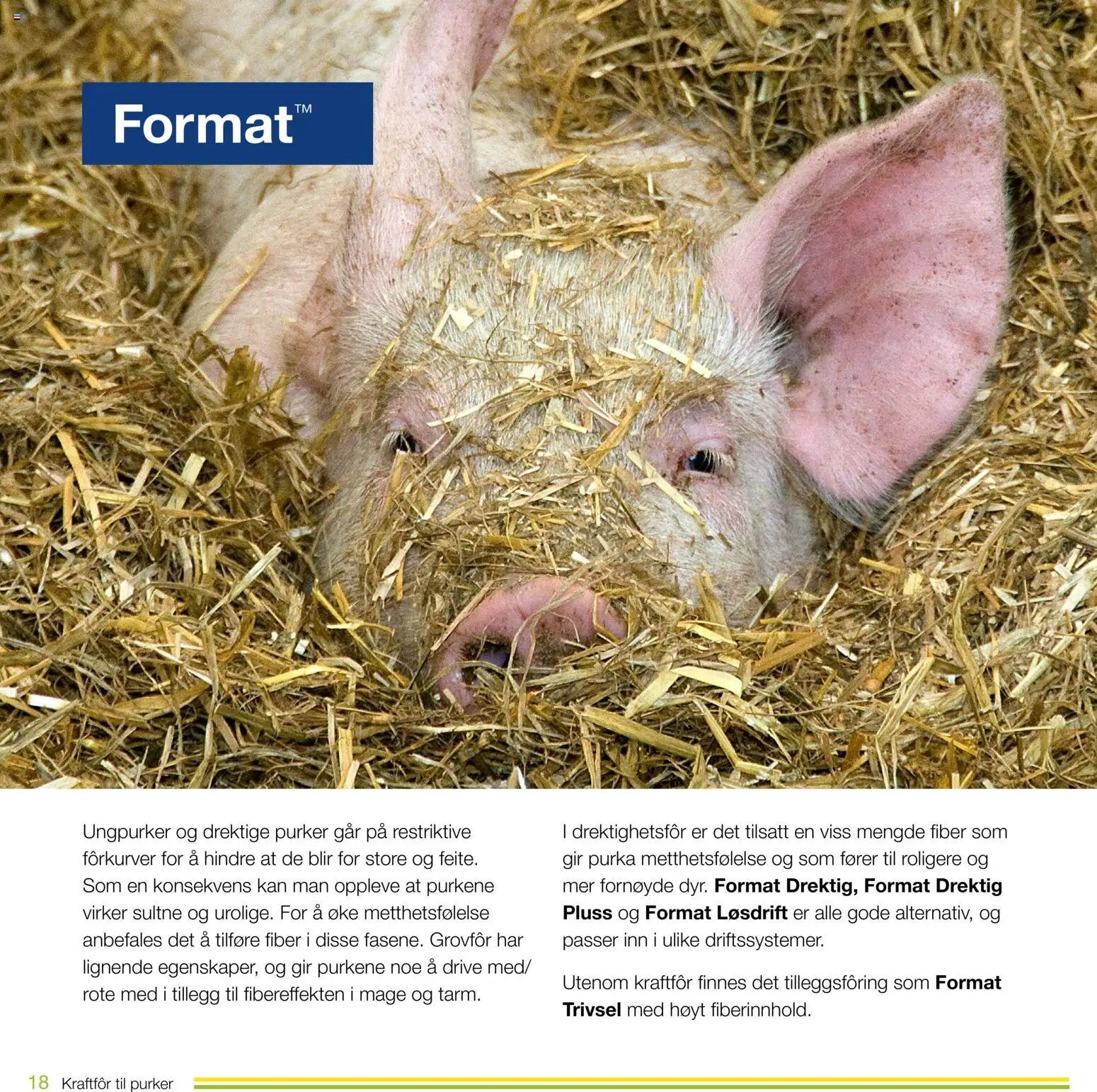 Felleskjøpet Kraftfôr til purker (2026-01-02 - 2027-01-03)