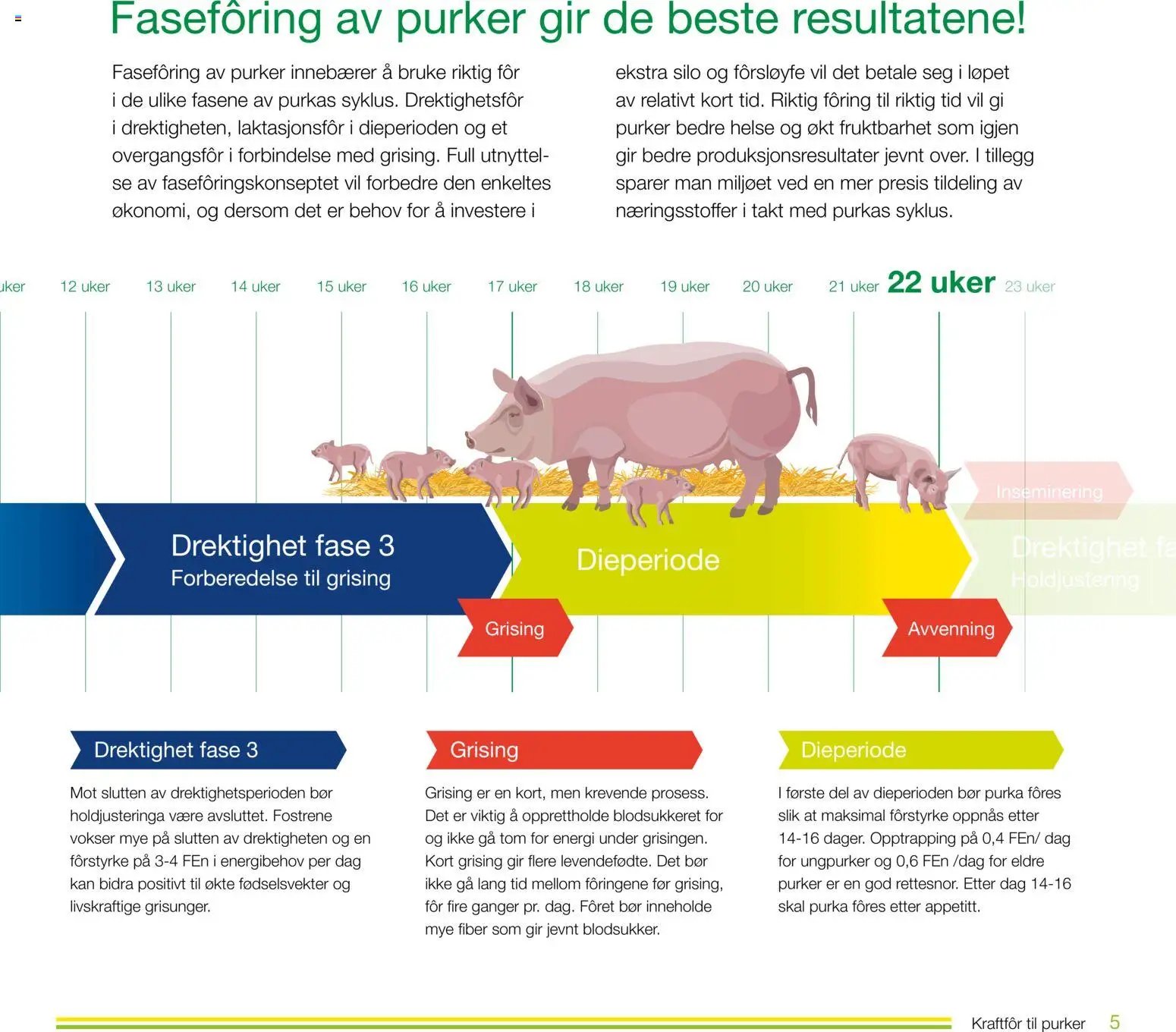 Felleskjøpet Kraftfôr til purker (2026-01-02 - 2027-01-03)