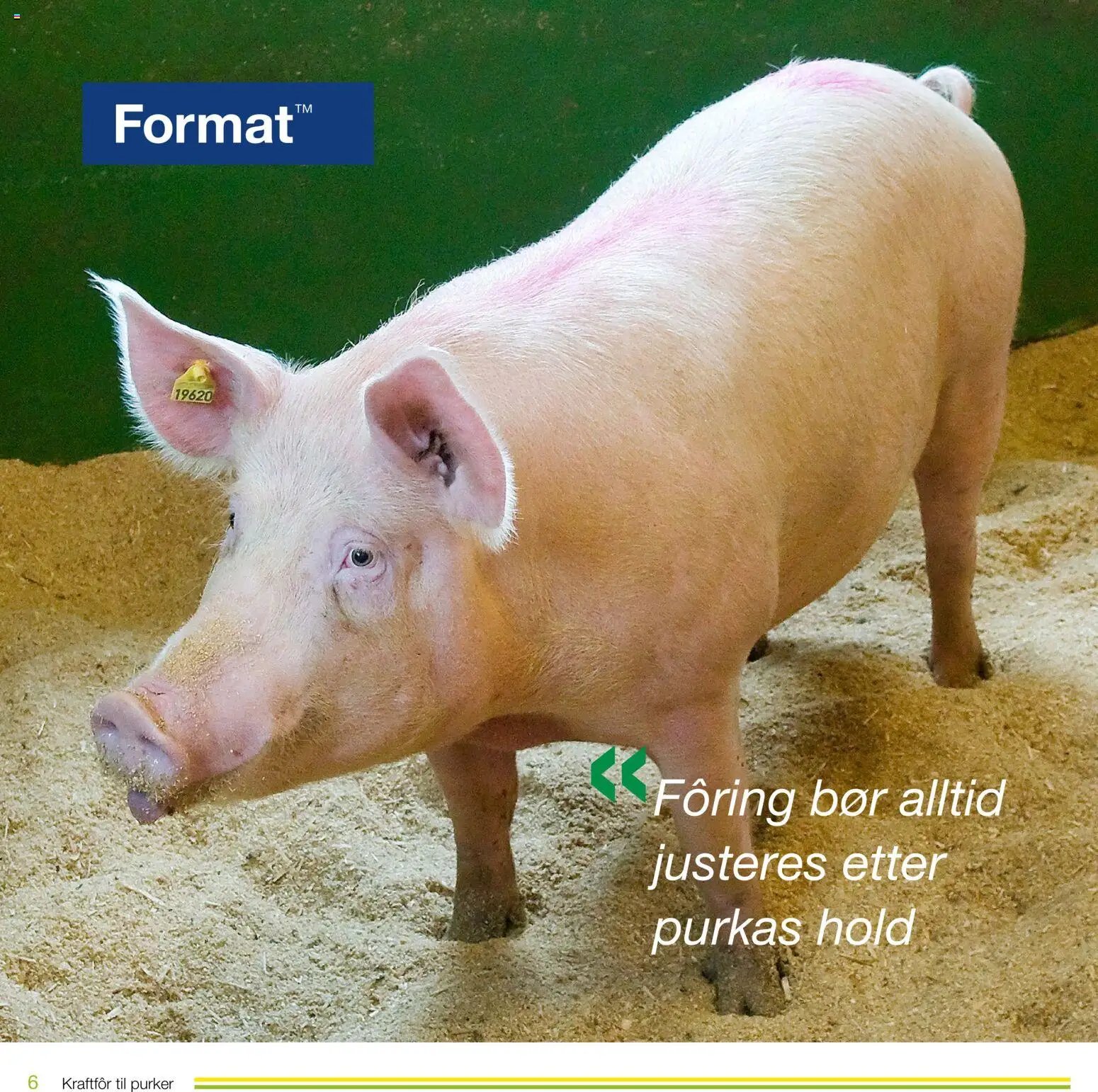 Felleskjøpet Kraftfôr til purker (2026-01-02 - 2027-01-03)