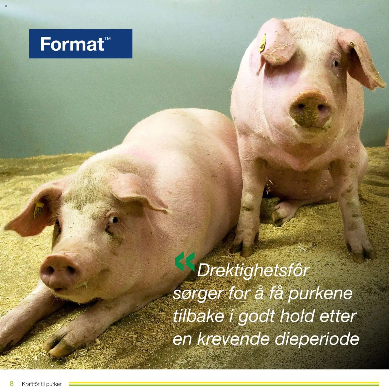 Felleskjøpet Kraftfôr til purker (2026-01-02 - 2027-01-03)